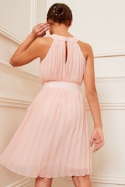 Lipsy Light Pink Pleated Chiffon Occasion Dress - Image 4 of 4