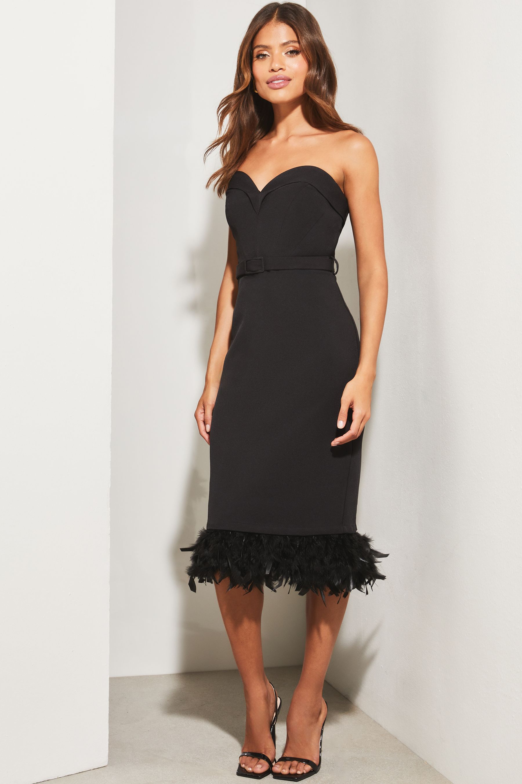 Next midi dress sales