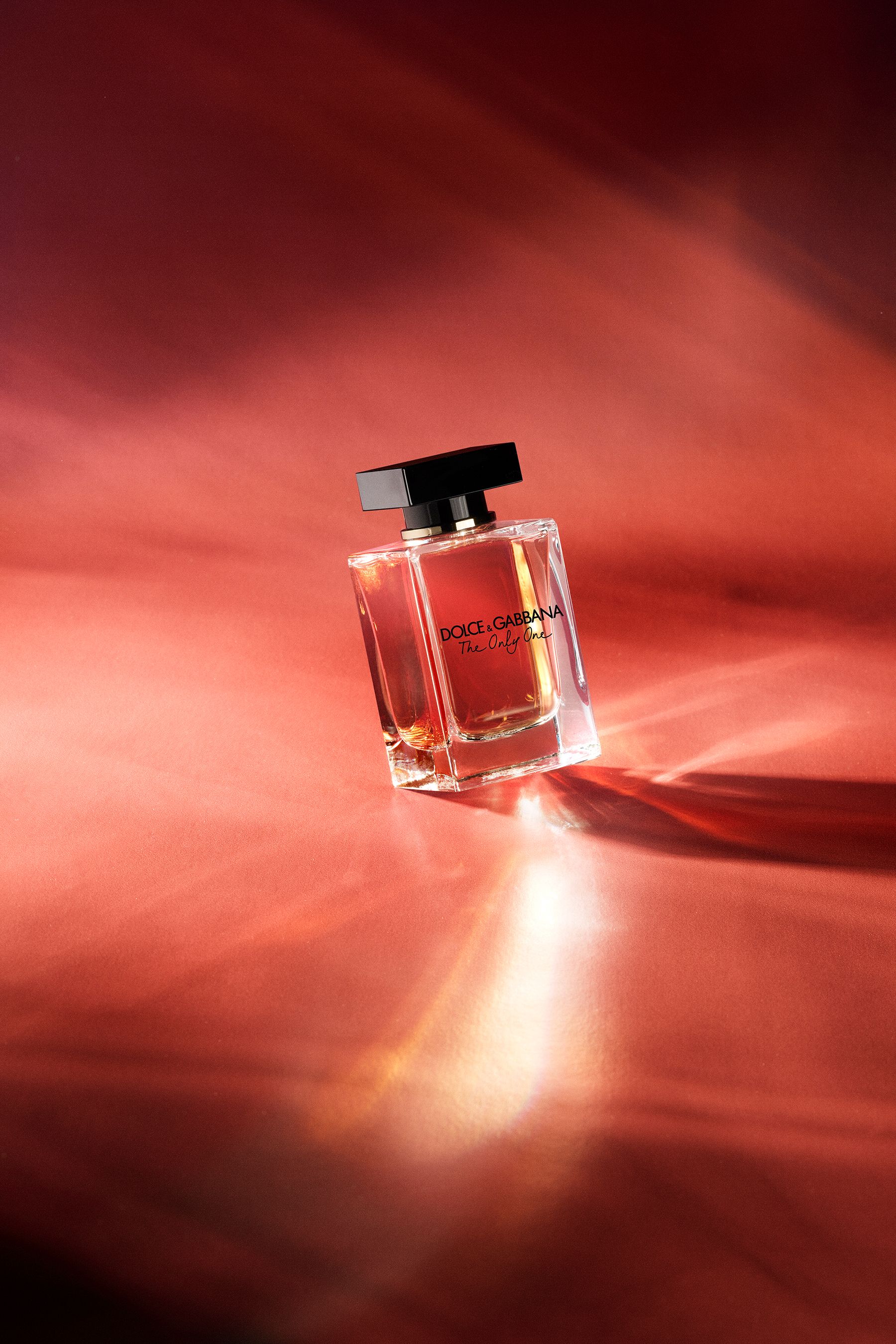 Dolce gabbana the only one new store