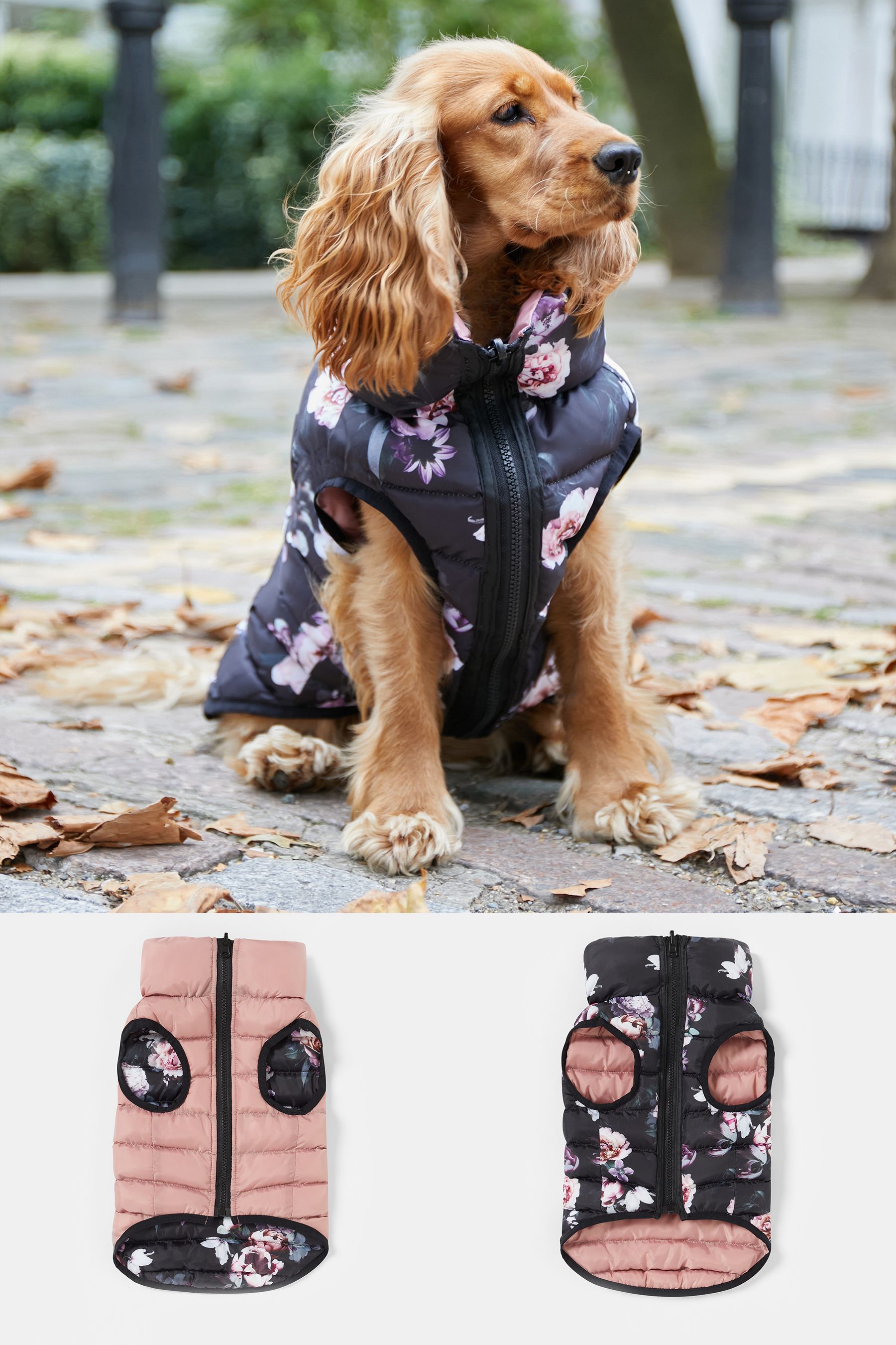 Buy Lipsy Pink Reversible Zip Dog Padded Coat from Next Luxembourg