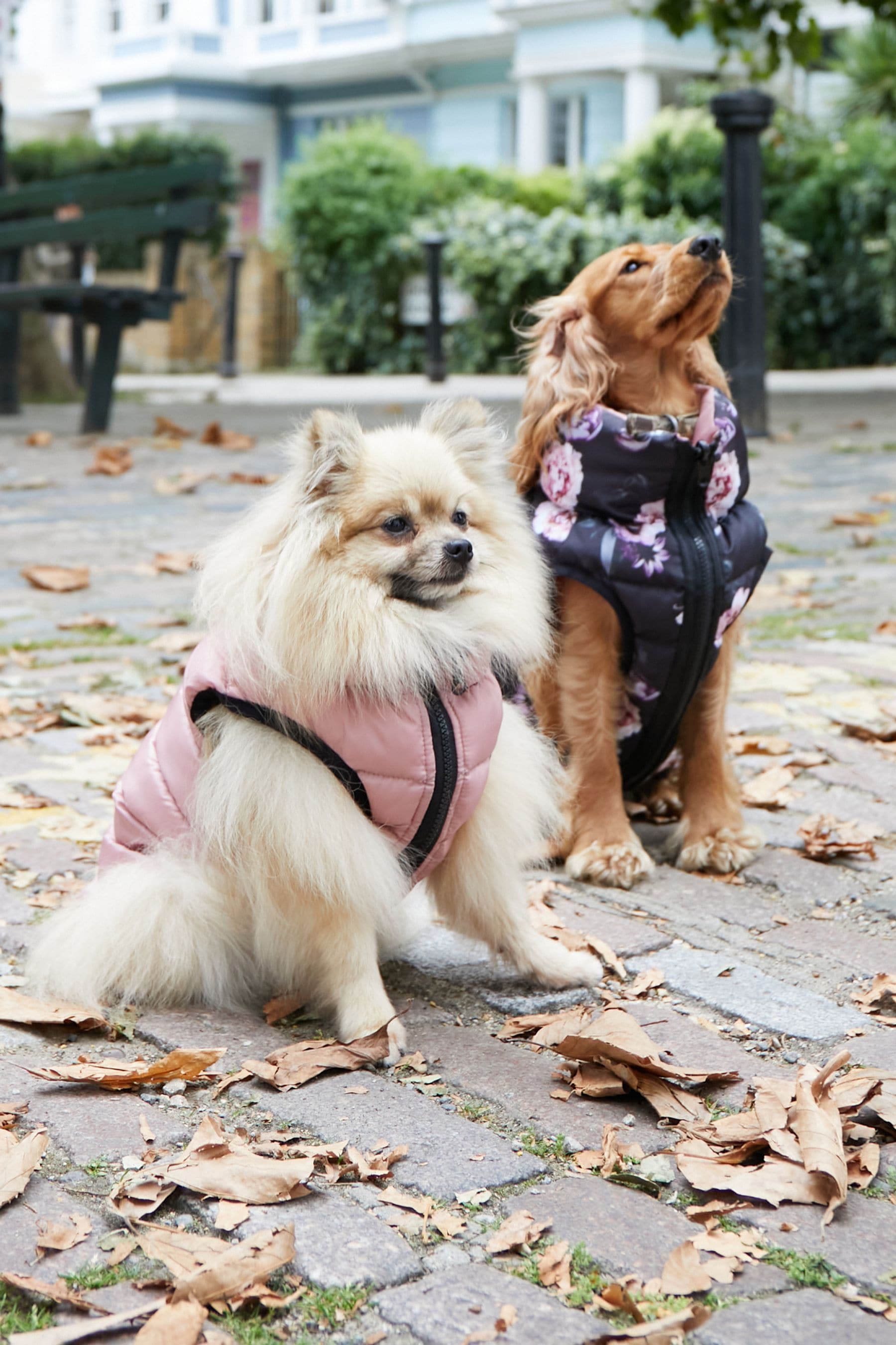 Buy Lipsy Pink Reversible Zip Dog Padded Coat from Next Luxembourg