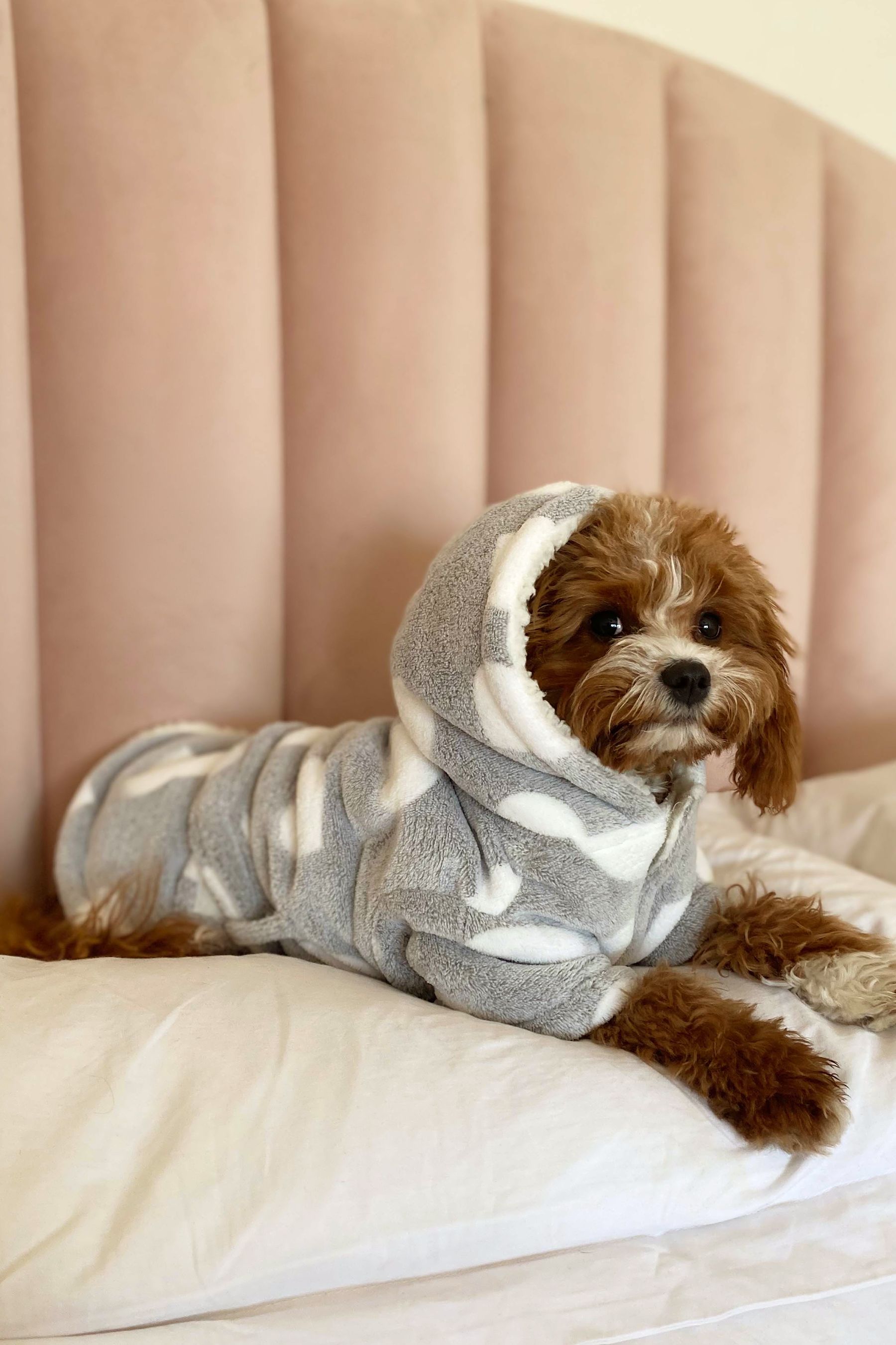 Buy Lipsy Grey Super Soft Cosy Dog Dressing Gown Jacket from Next Luxembourg