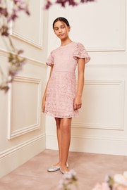 Lipsy Pink Flutter Sleeve Lace Occasion Dress - Image 2 of 4