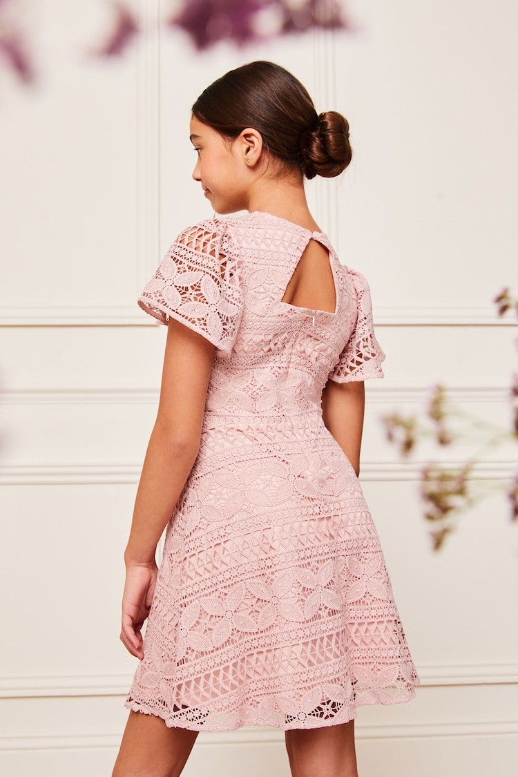 Lipsy Pink Flutter Sleeve Lace Occasion Dress - Image 4 of 4