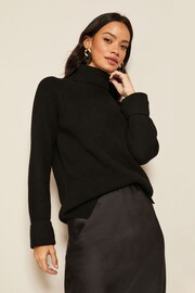 Friends Like These Black Petite Roll Neck Jumper - Image 1 of 4