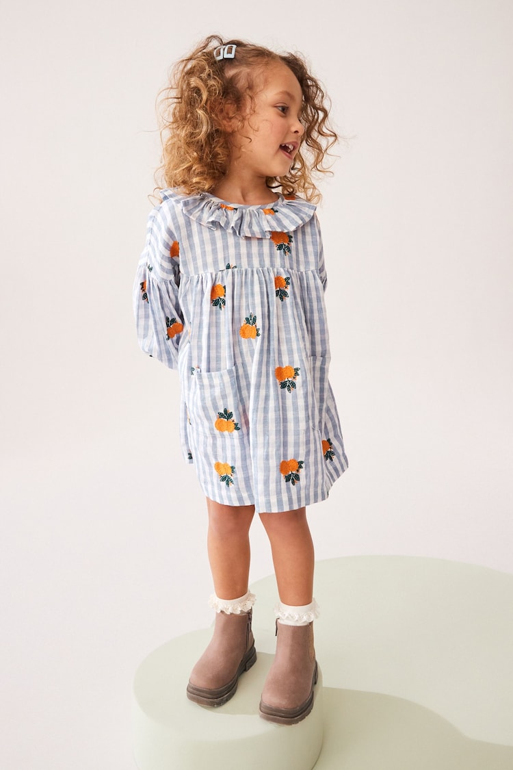 Blue Gingham Embroidered Collar Dress (3mths-8yrs) - Image 2 of 8