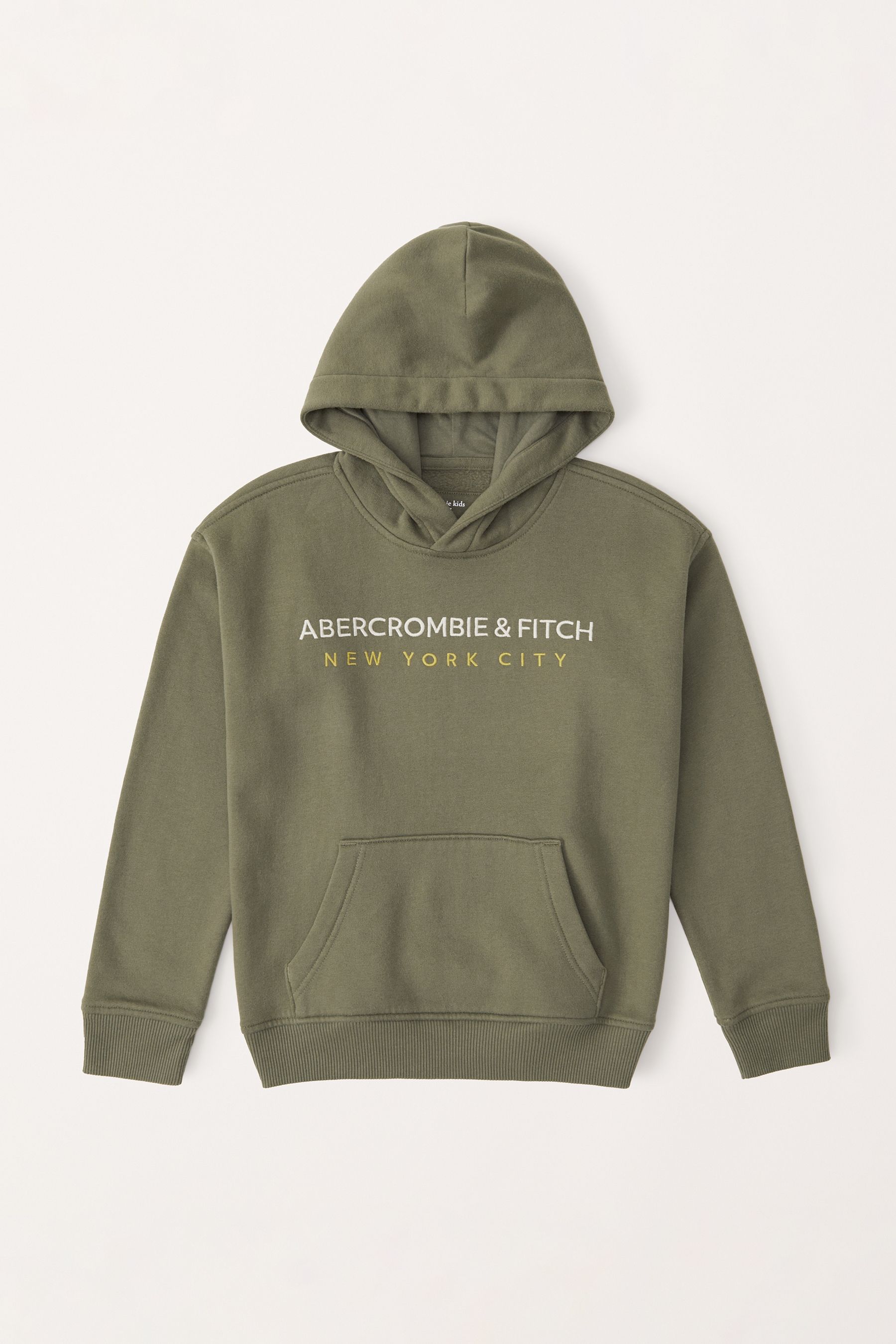 Buy Abercrombie Fitch Green Logo Hoodie from Next Luxembourg