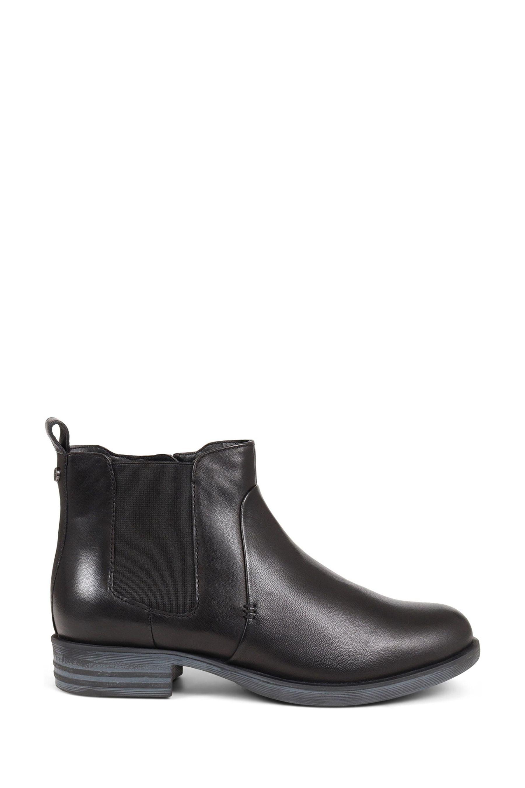 Van dal ankle boots best sale