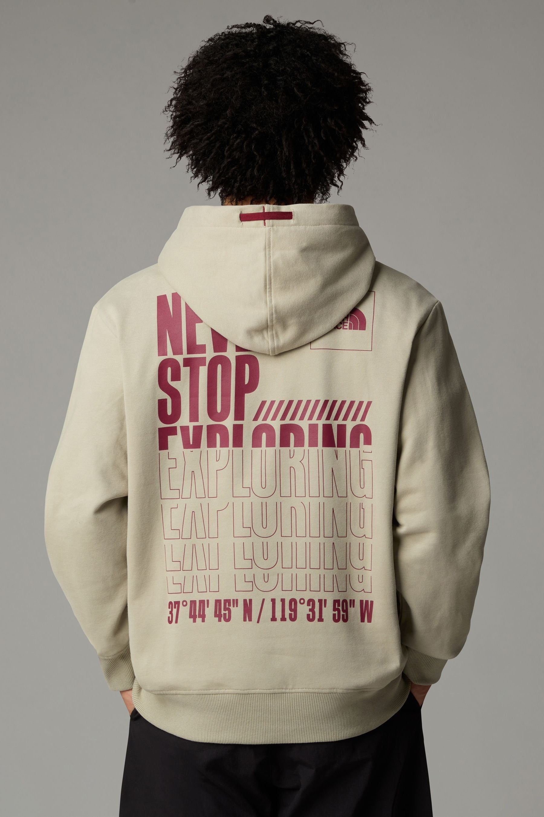 The north face hoodie back print deals