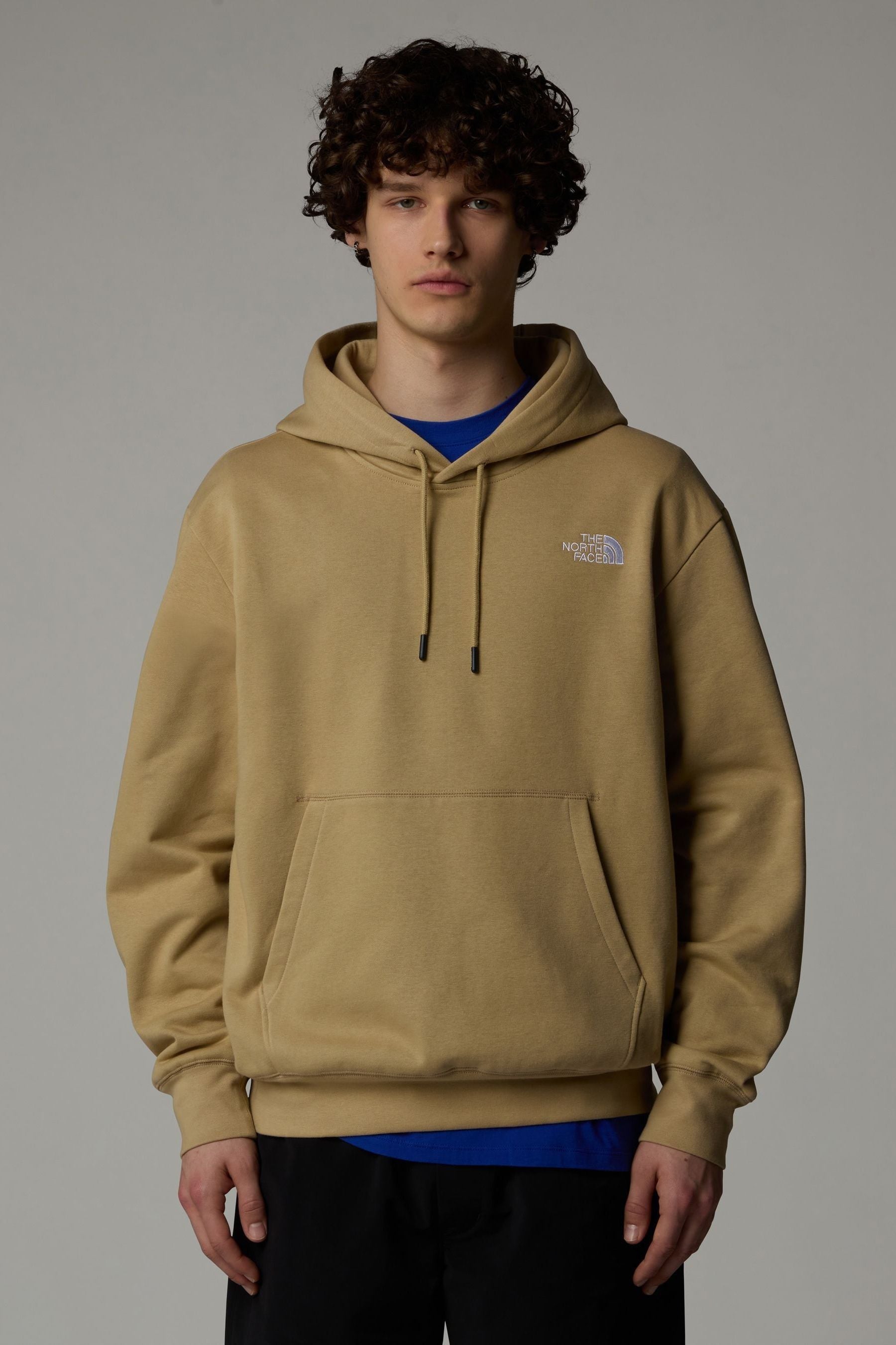 Brown north face hoodie hotsell