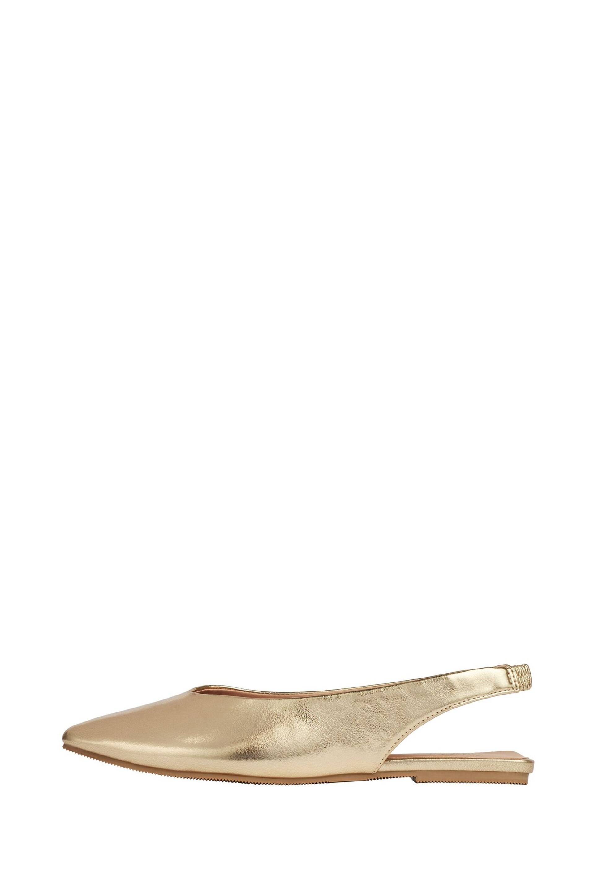 Friends Like These Gold Regular Fit Slingback Pointed Toe Ballet Pump Shoes - Image 1 of 4