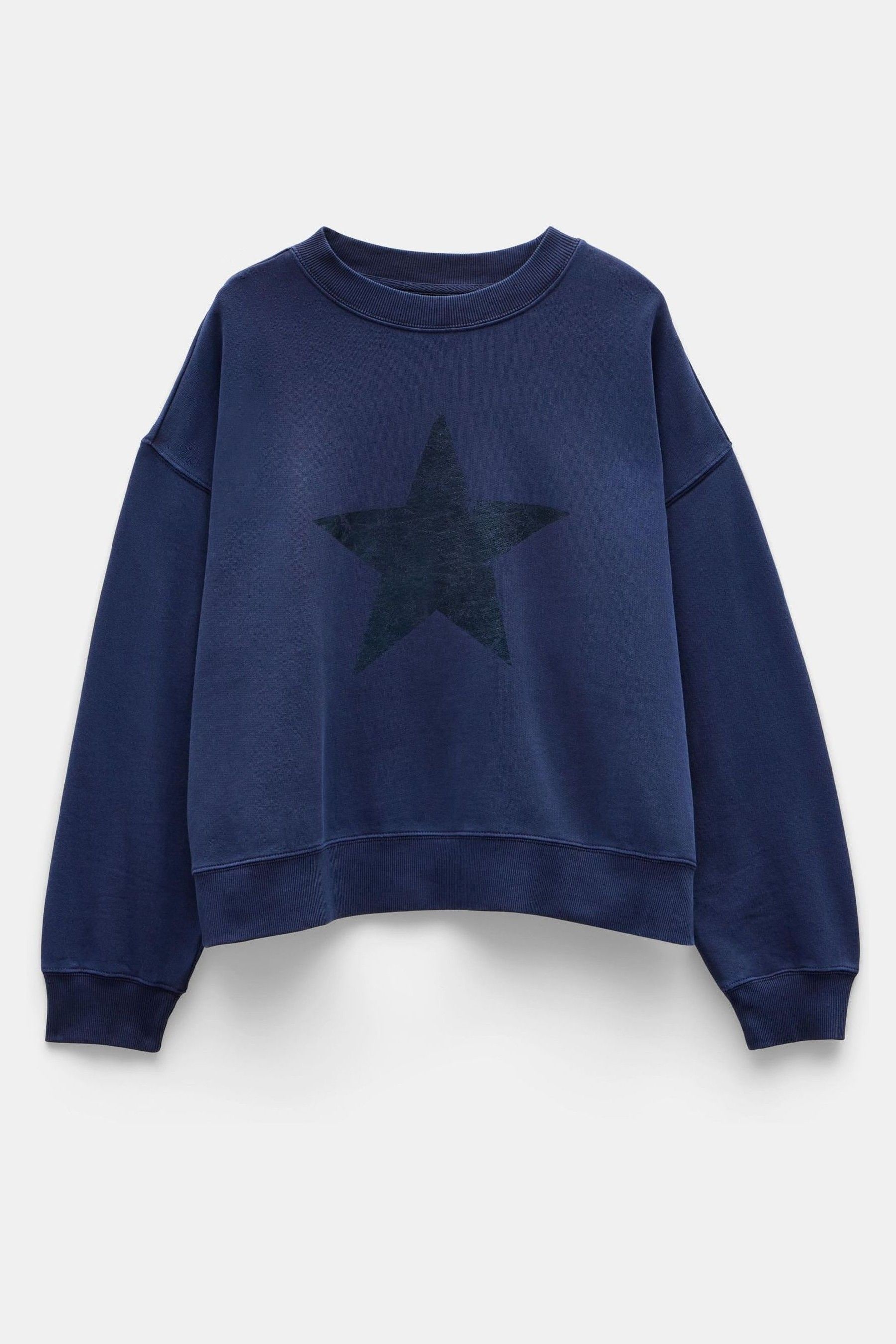 Buy Hush Blue Roxy Metallic Star Sweatshirt from Next Luxembourg
