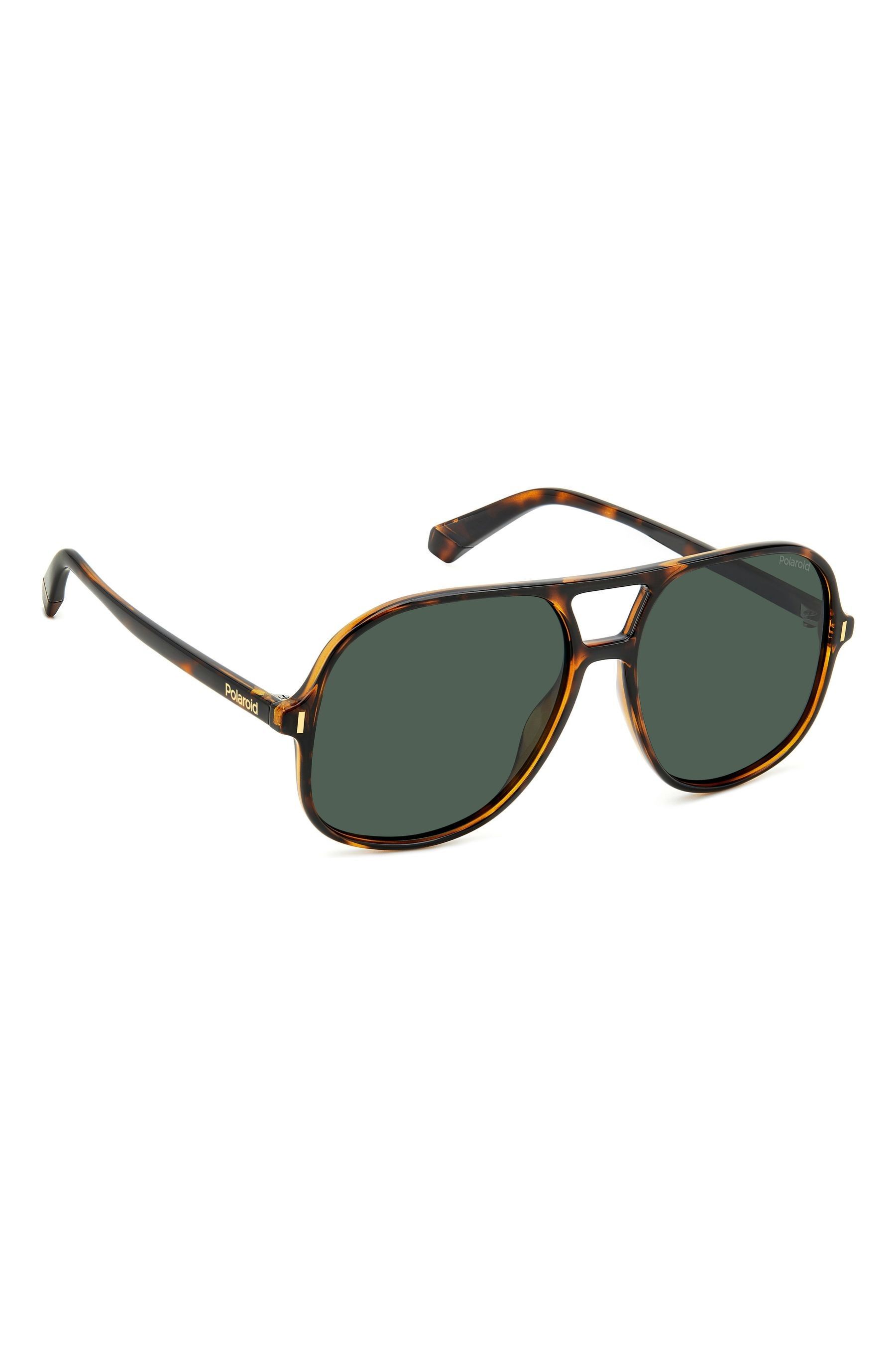 Buy Polaroid 6217 S Caravan Brown Sunglasses from the Next UK online shop