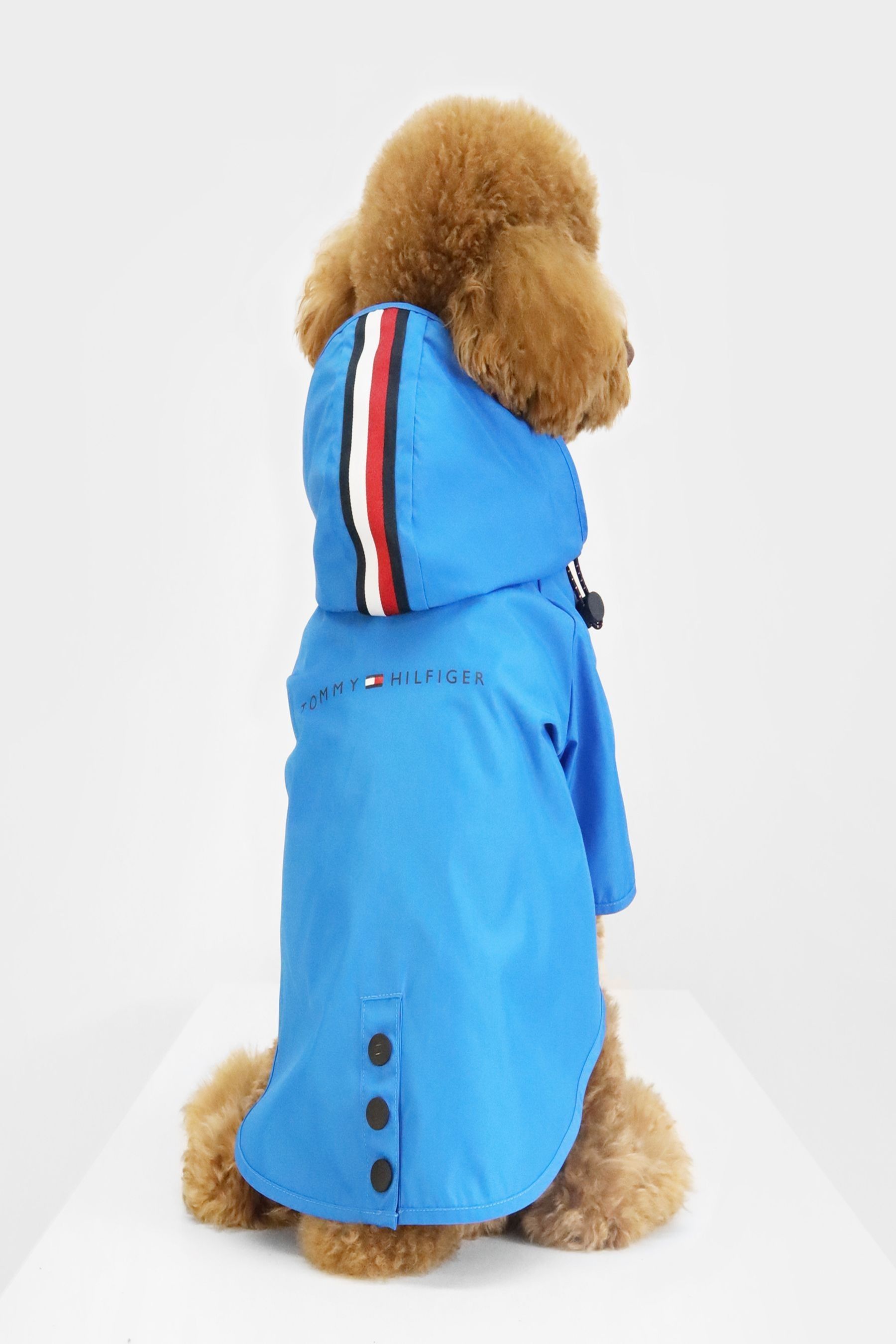 Buy Tommy Hilfiger Blue Dog Raincoat from the Next UK online shop