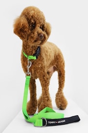 Tommy Hilfiger Green Dog Leash - Image 1 of 2