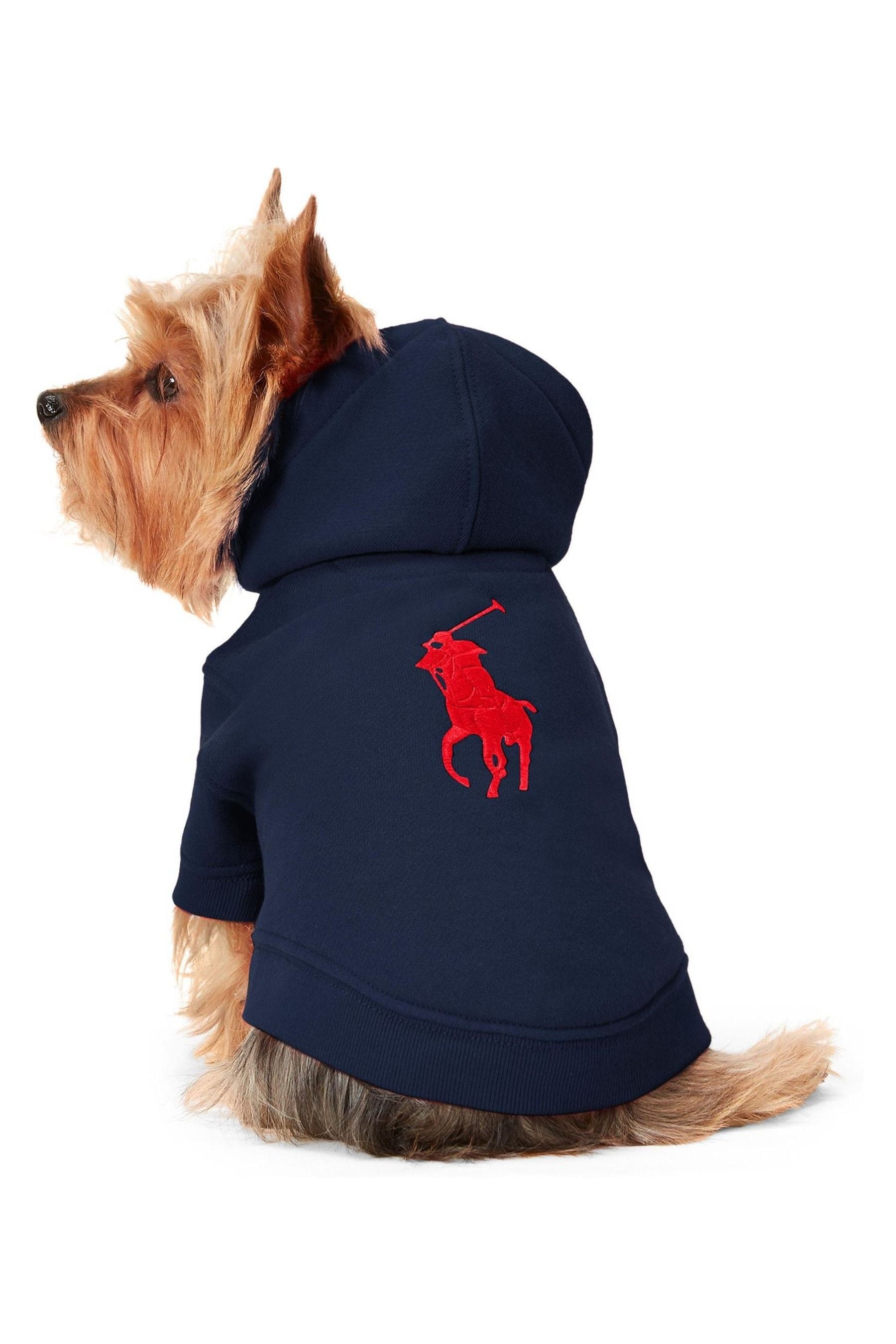 Polo dog sweater sale