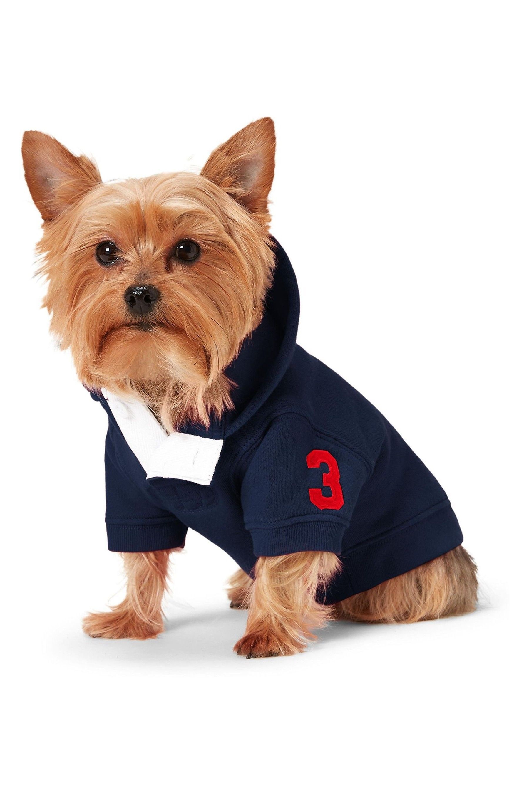 Buy Ralph Lauren Dog Jumper from the Next UK online shop