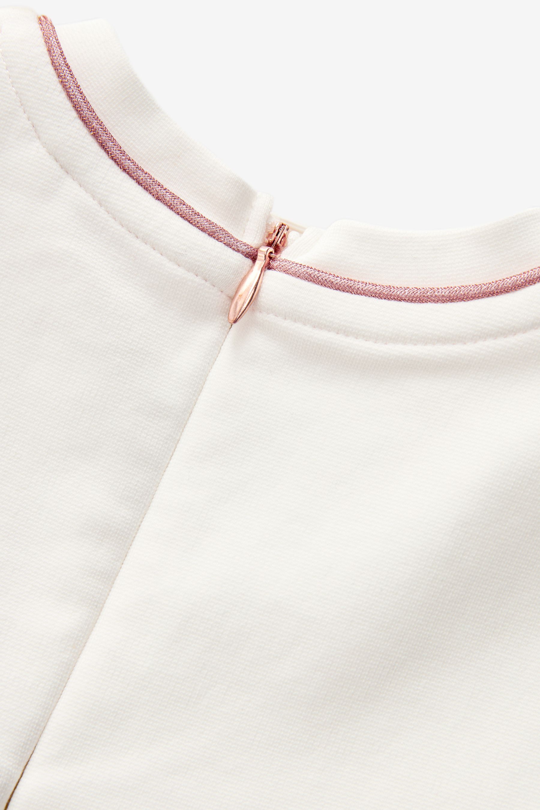Ted baker pink scallop dress shop