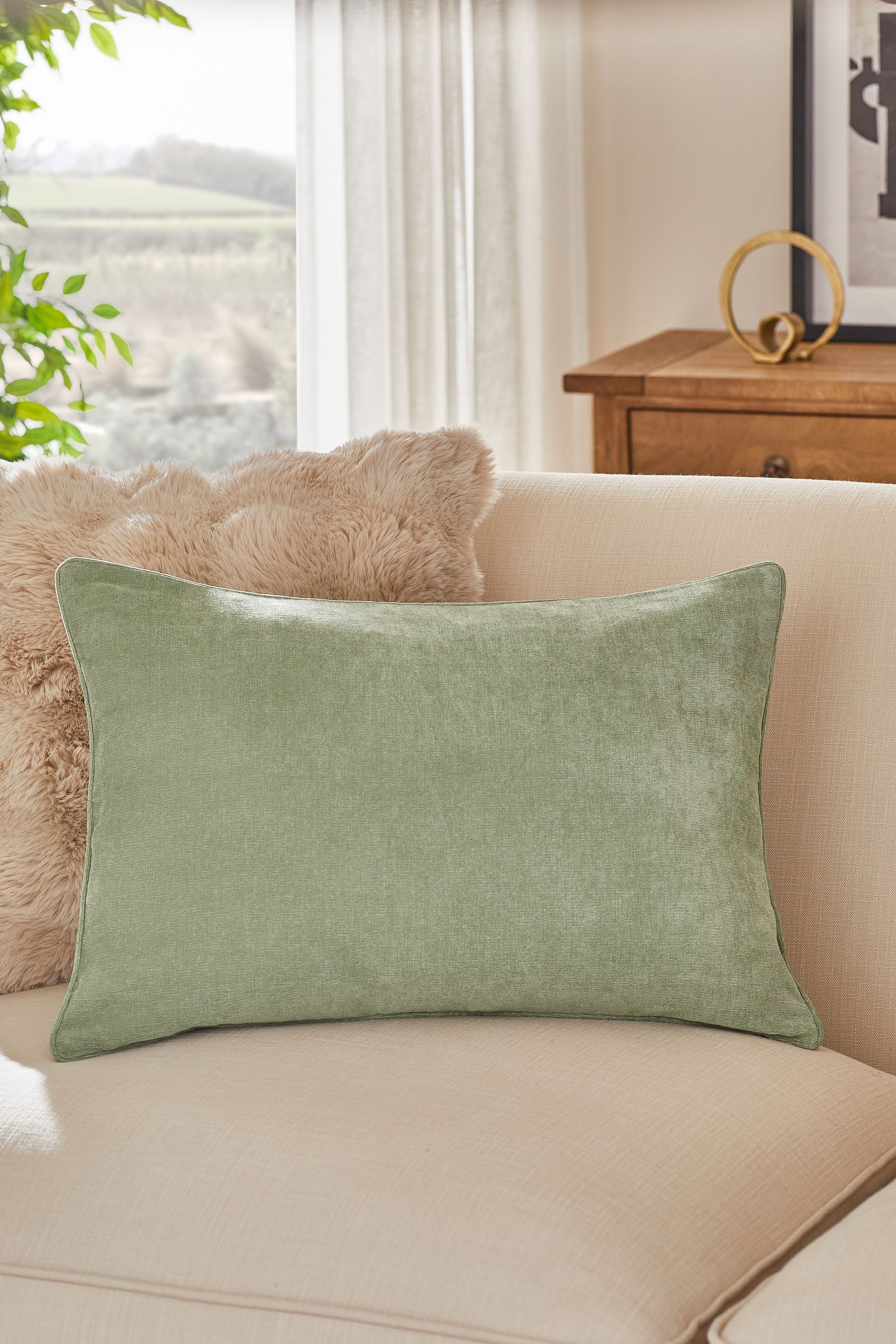 Buy Green 40 x 59cm Soft Velour Cushion from Next Switzerland