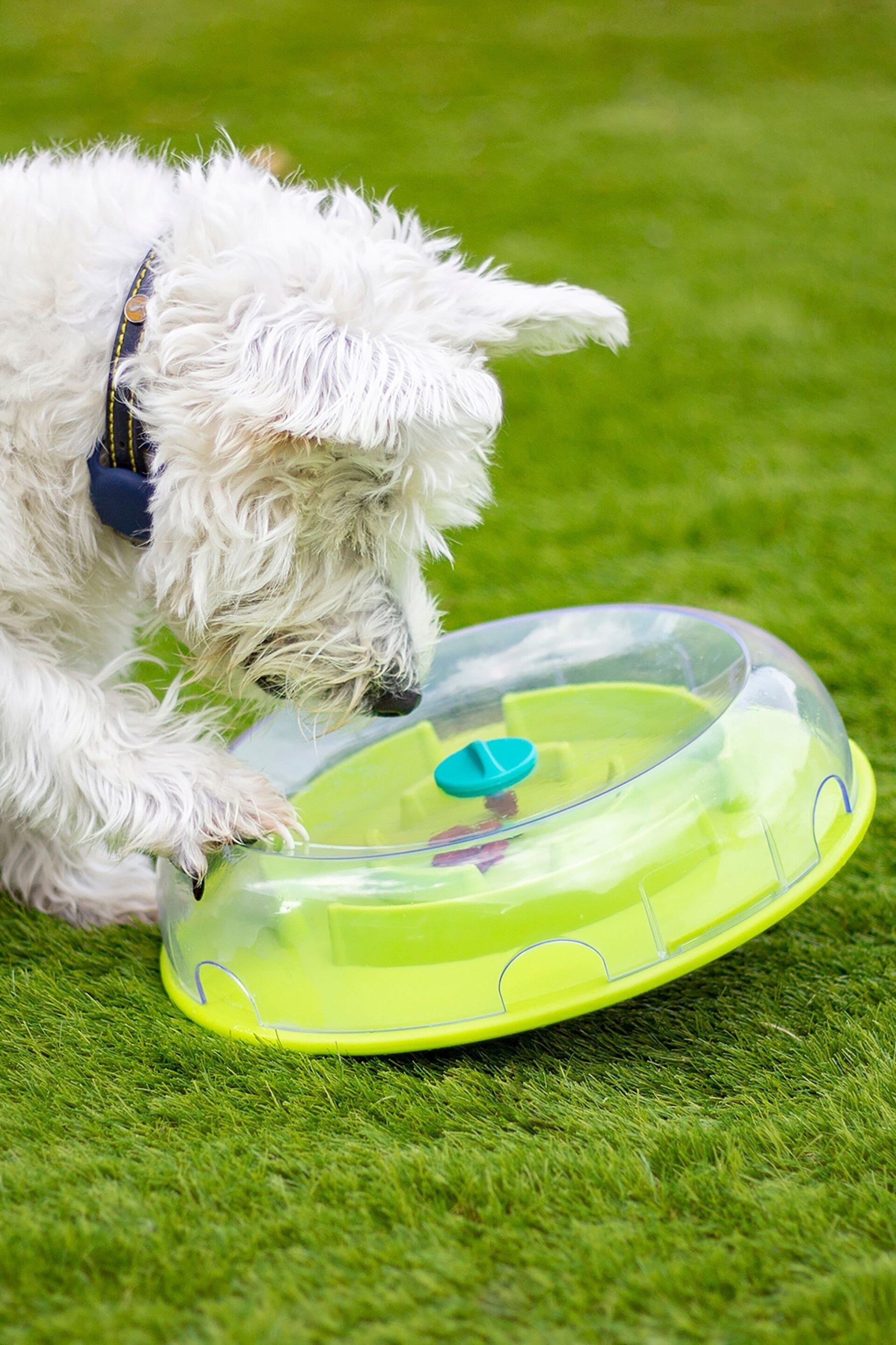 Rosewood Green Nina Ottosson Wobble Bowl Dog Toy Challenge - Image 2 of 4