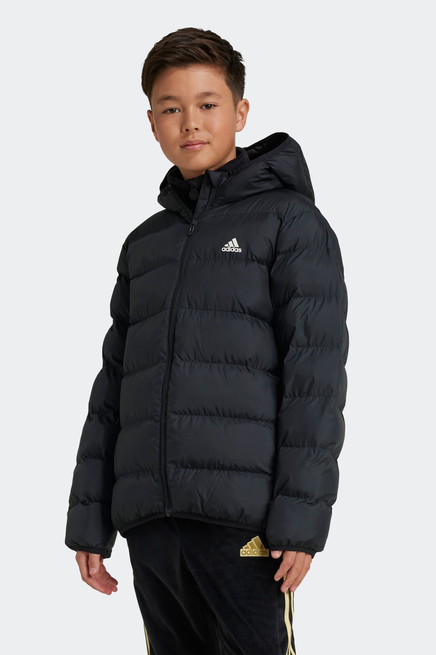 Acheter Noir Adidas Junior Padded Jacket from Next France
