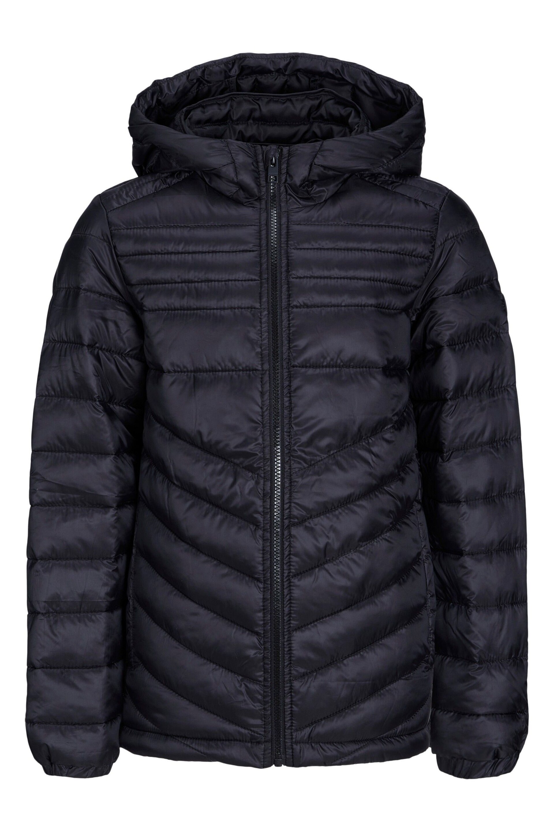 JACK & JONES JUNIOR Black Hooded Padded Jacket - Image 4 of 5