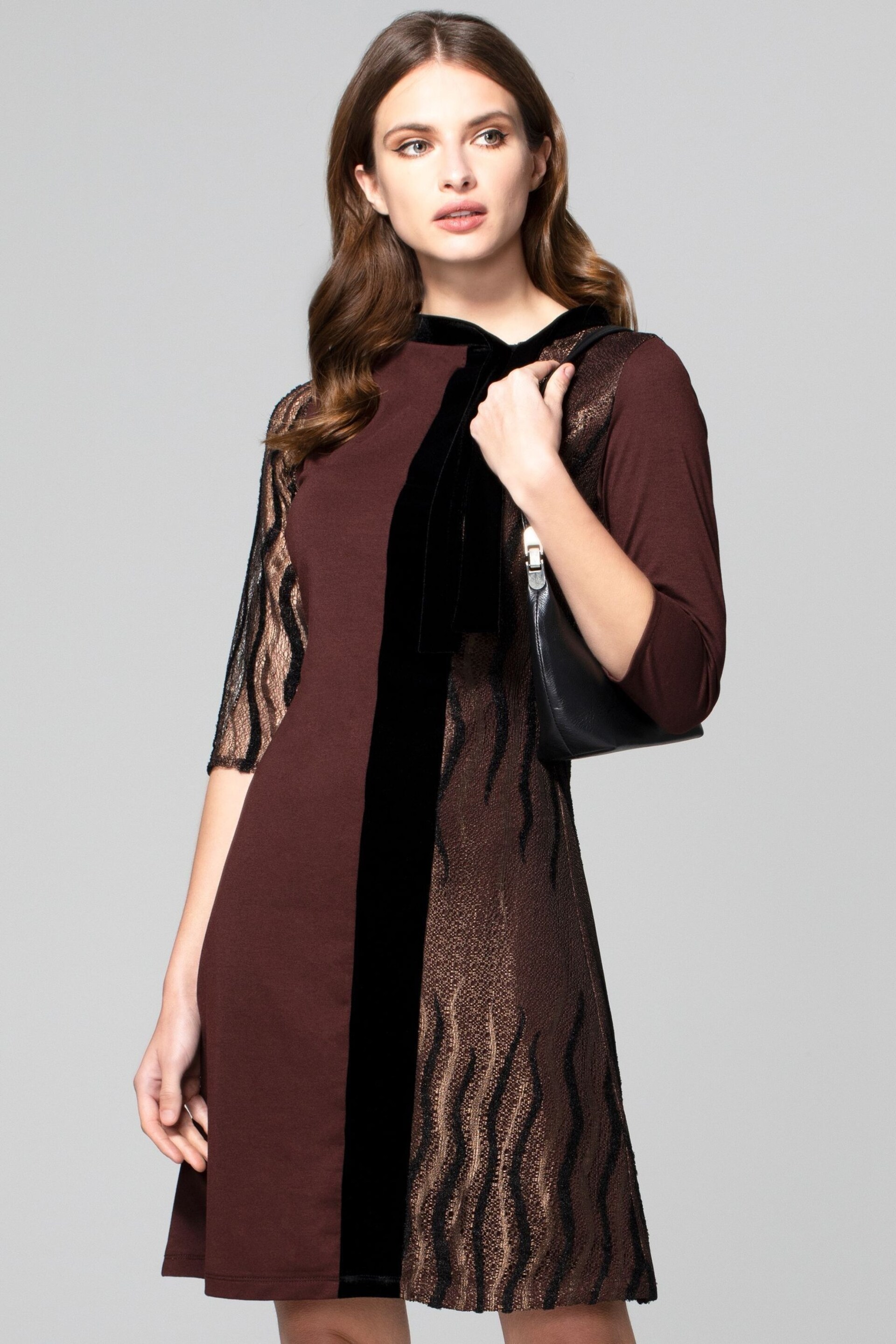 HotSquash Brown Princess Seam Dress With Velvet - Image 1 of 5