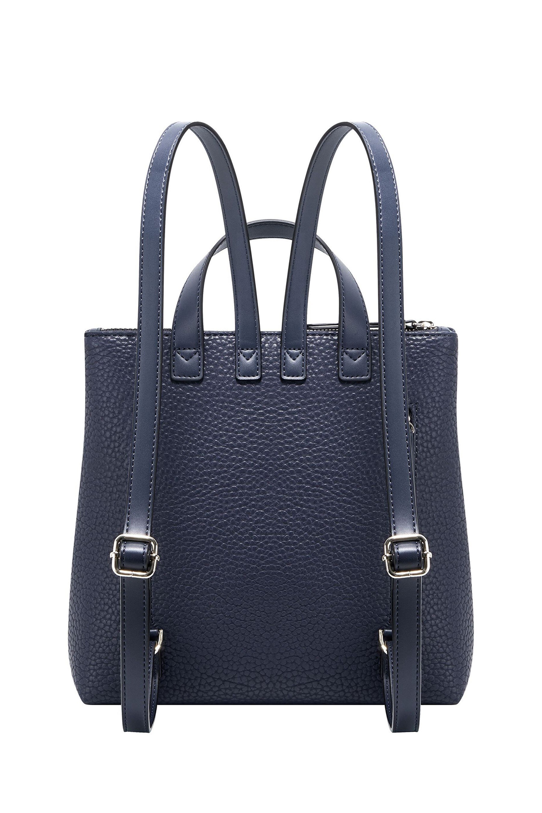 Buy Fiorelli Finley Mini Backpack from Next Qatar