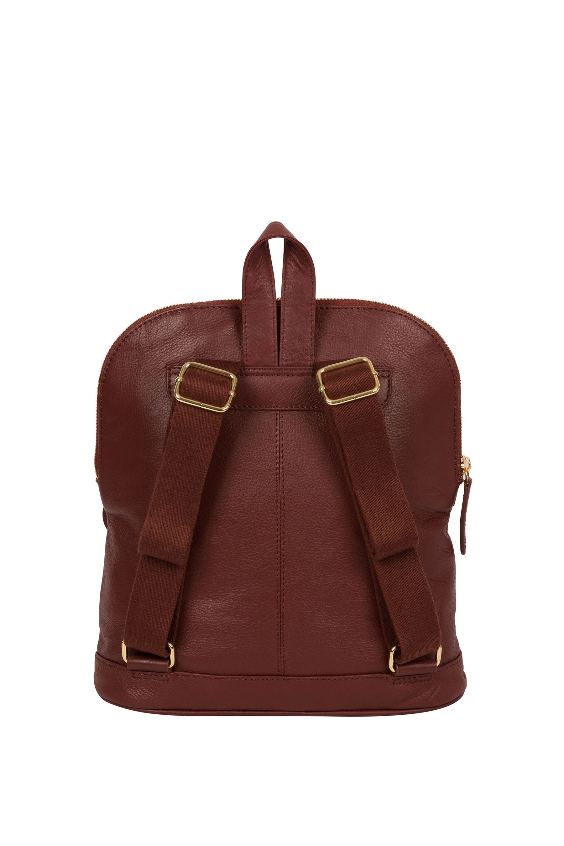 Buy Pure Luxuries London Kinsely Leather Backpack from Next Luxembourg