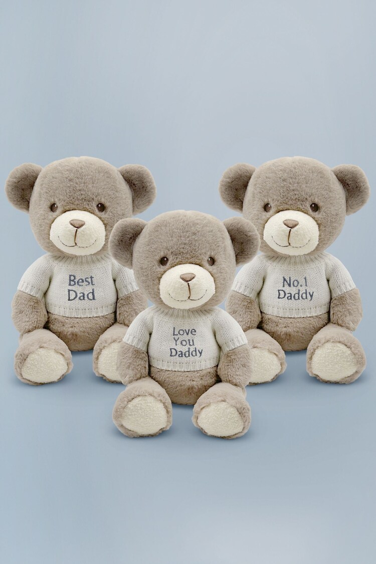 Father's Day Personalised Teddy Bear Gift - Image 1 of 5