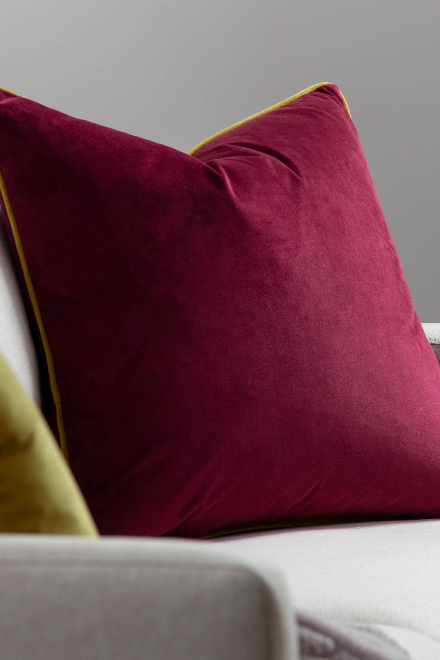 Paoletti Collezione Meridian Signature 55X55 C/C HPNK, Poliestere, Hot Pink/Lime Green, 55x55cm
