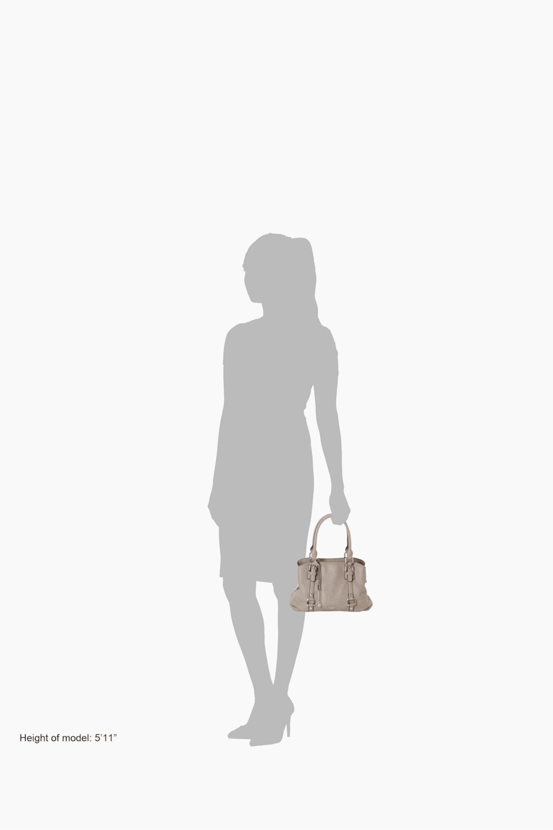 Dune dannah bag 2025