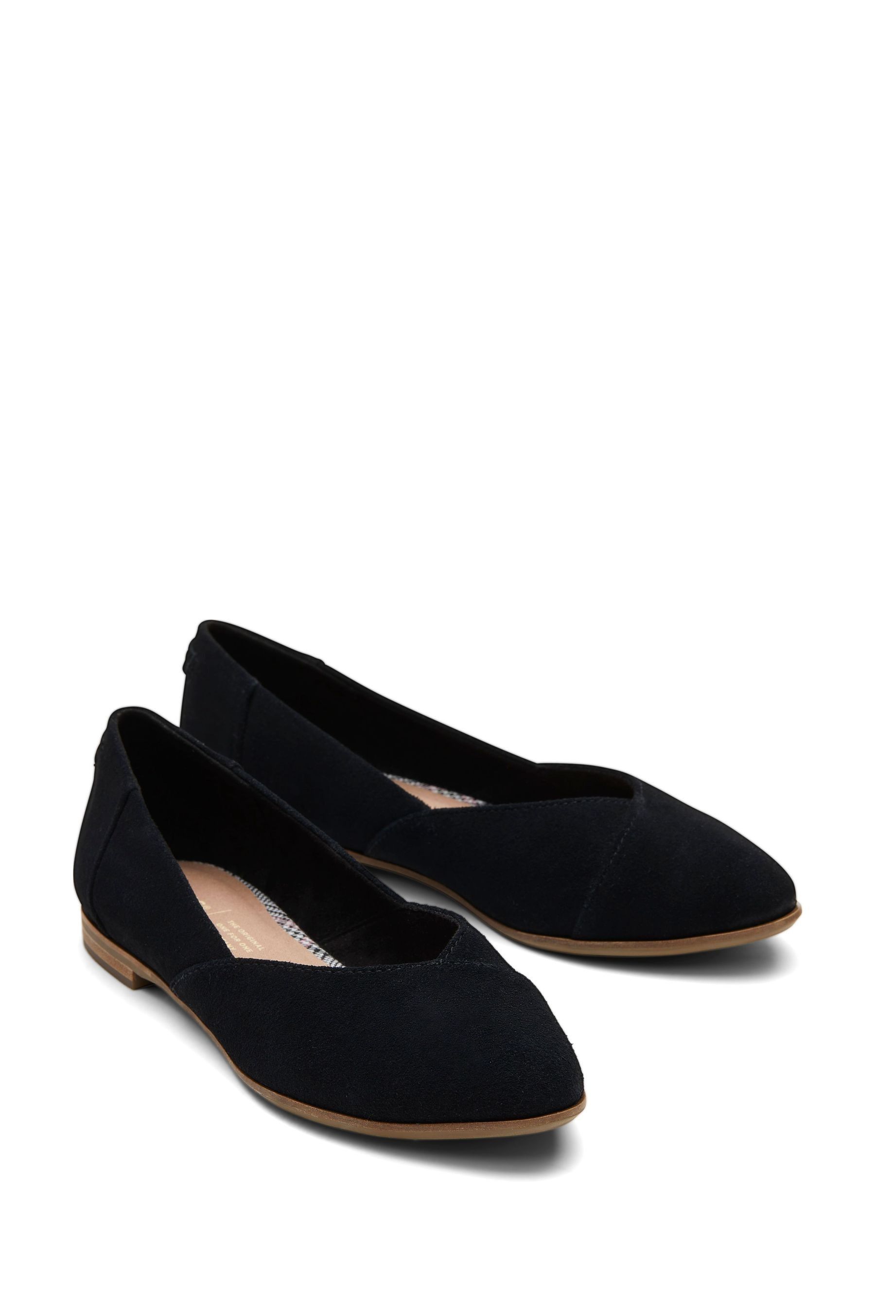 Buy TOMS Black Jutti Neat Suede Shoes from Next Luxembourg
