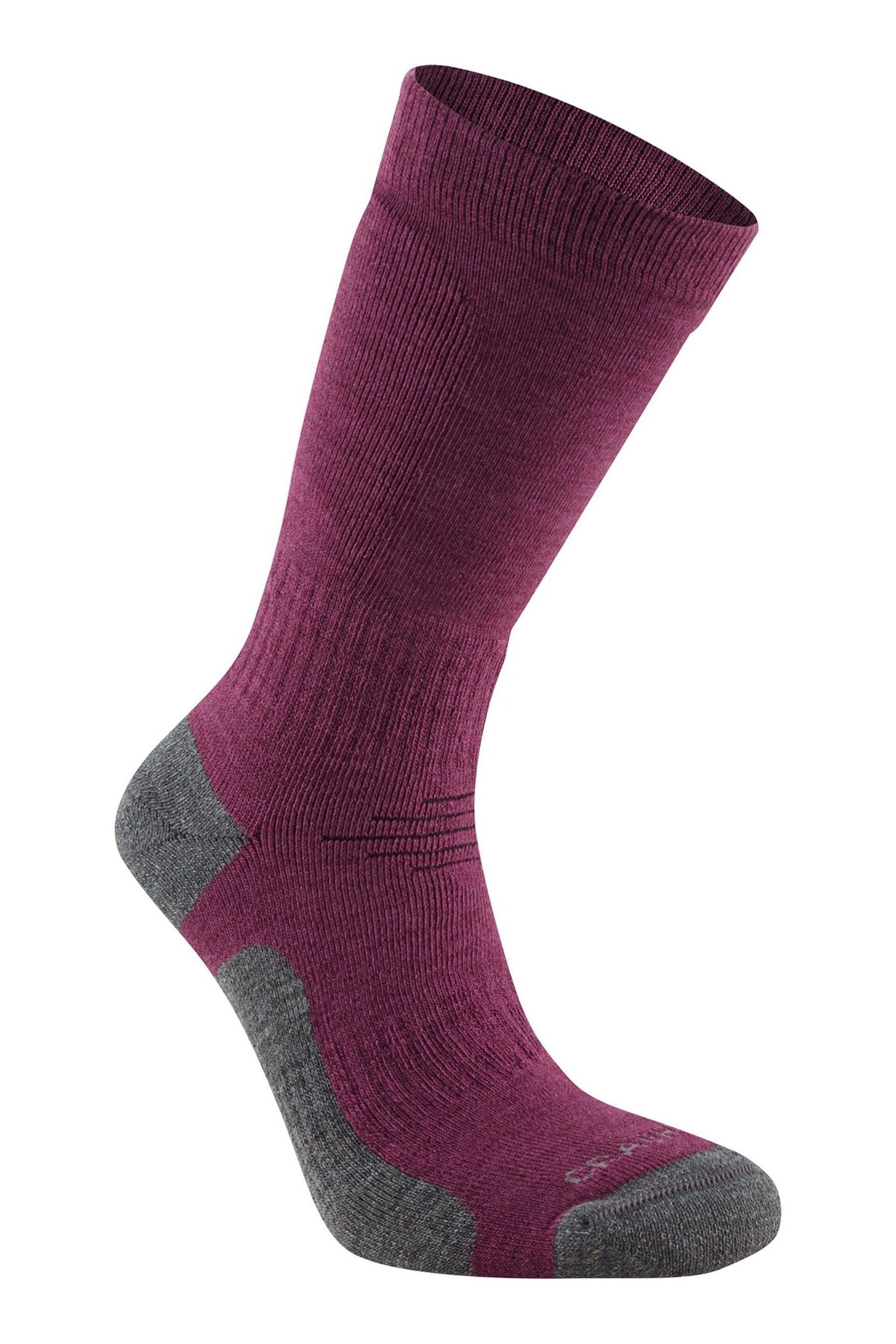 Craghoppers Purple Trek Socks - Image 1 of 1