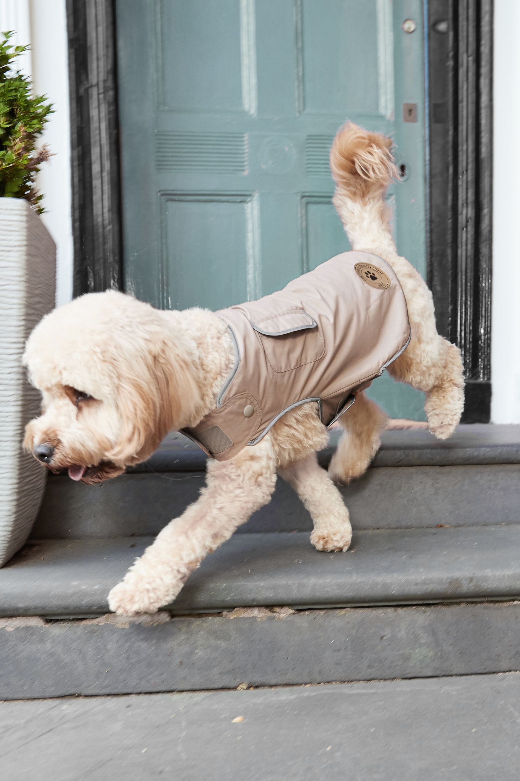 Buy Mink Brown Waterproof Fleece Lined Dog Coat with Reflective Trim from Next Germany