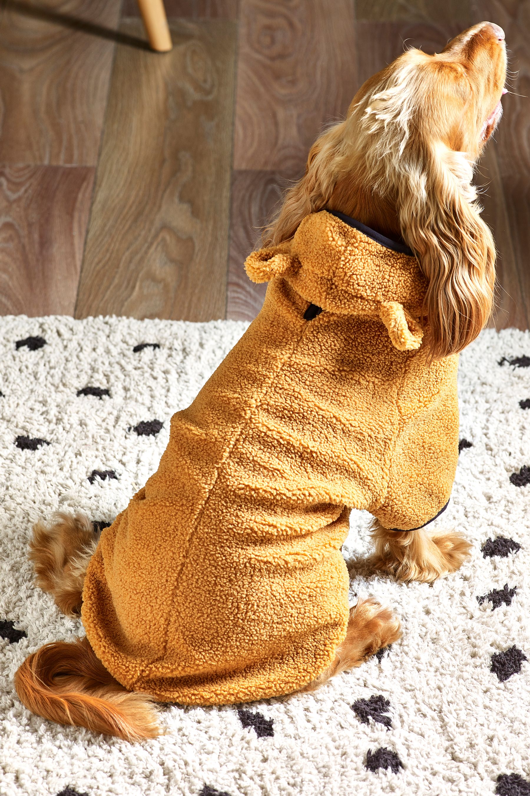 Buy Tan Brown Hooded Teddy Dog Jacket from Next Luxembourg