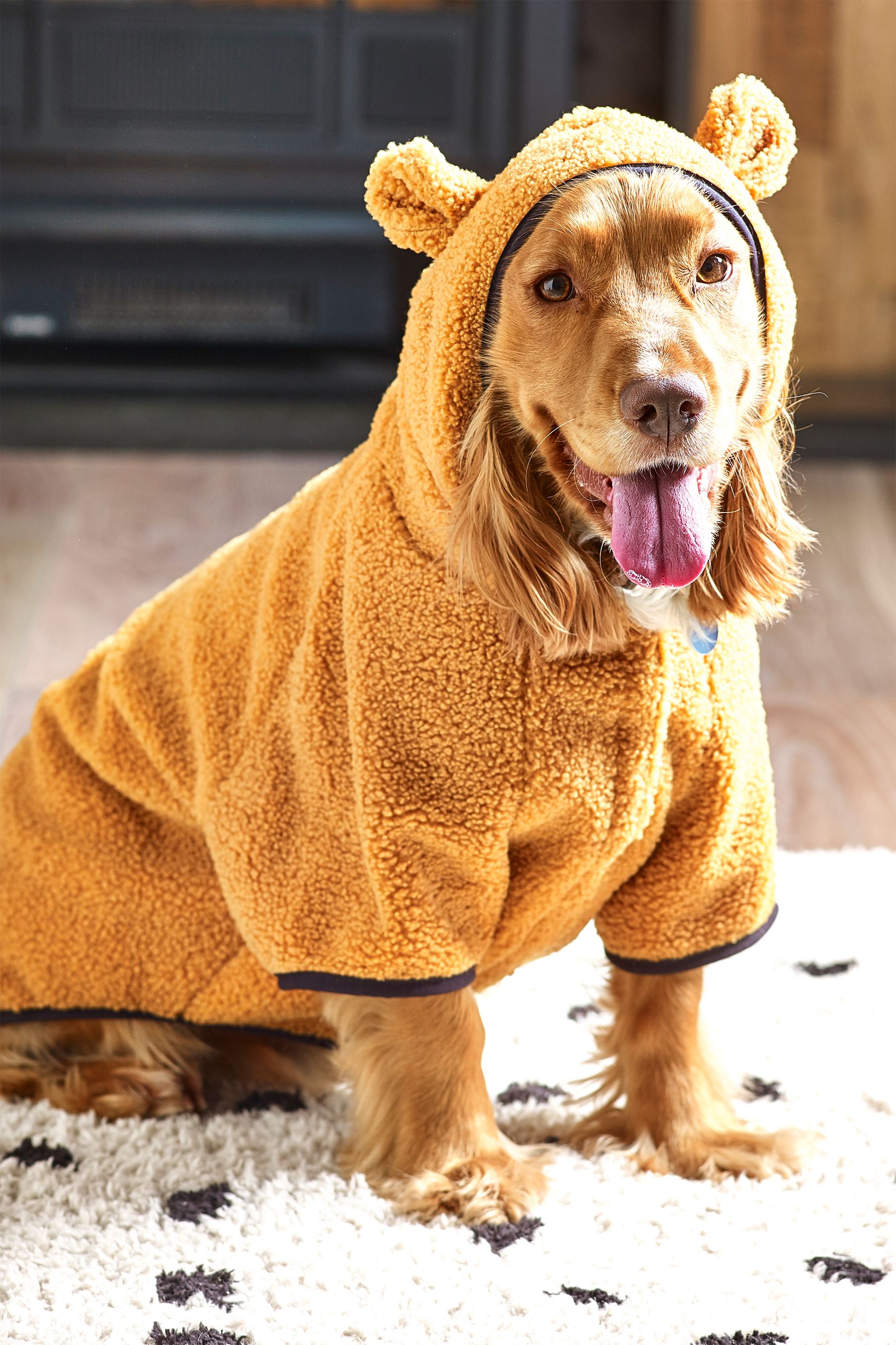 Buy Tan Brown Hooded Teddy Dog Jacket from Next Luxembourg