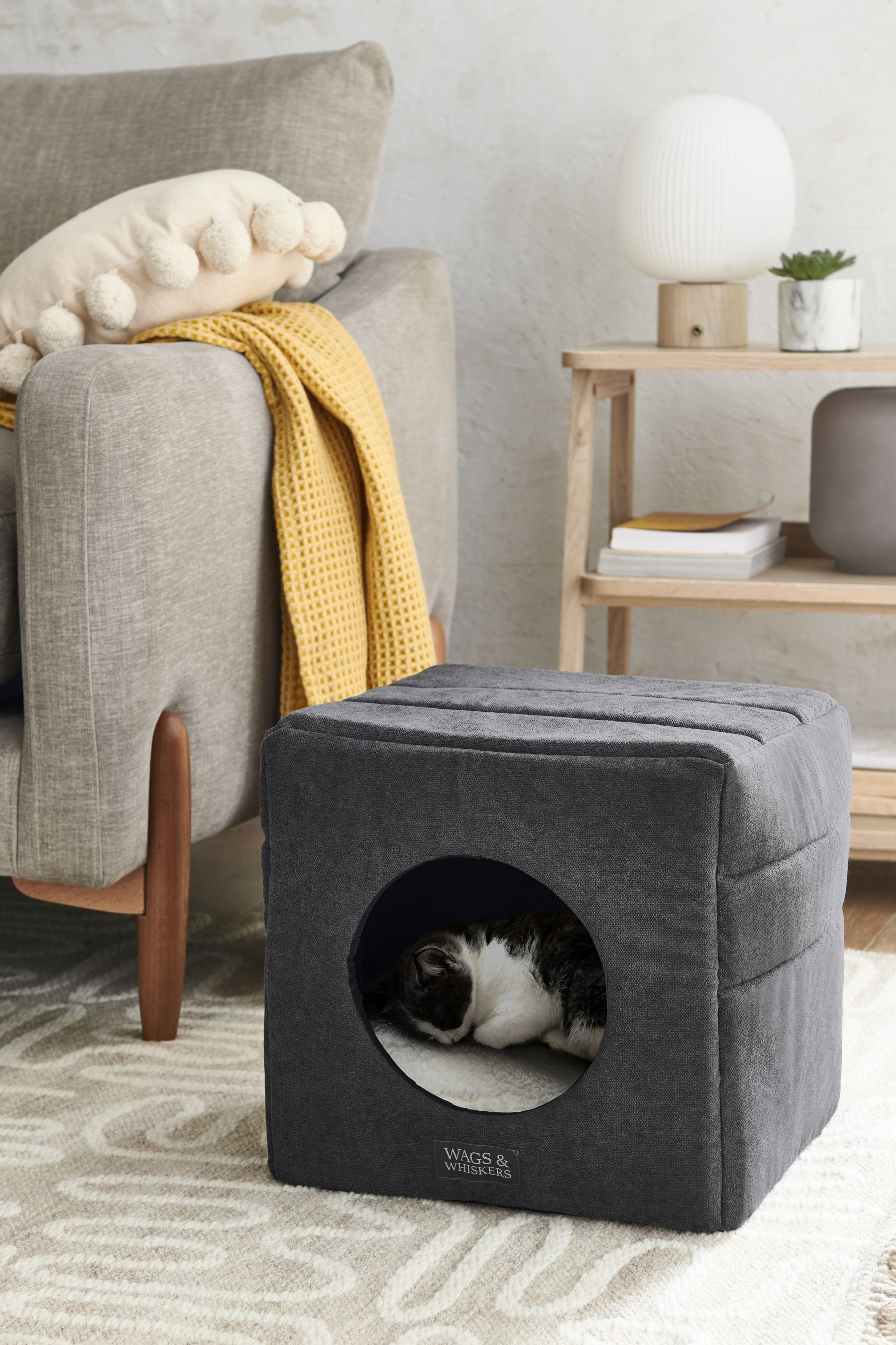 Whiskers & co cat bed cheap