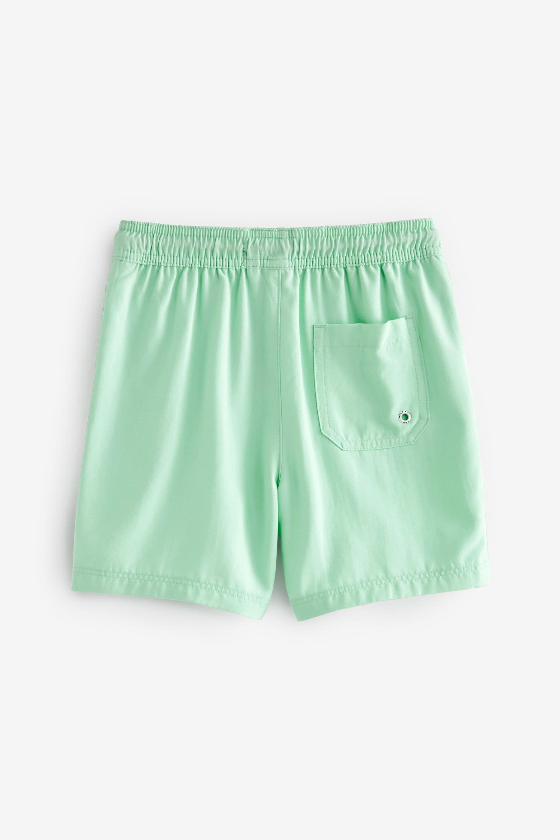Mint green swim shorts best sale