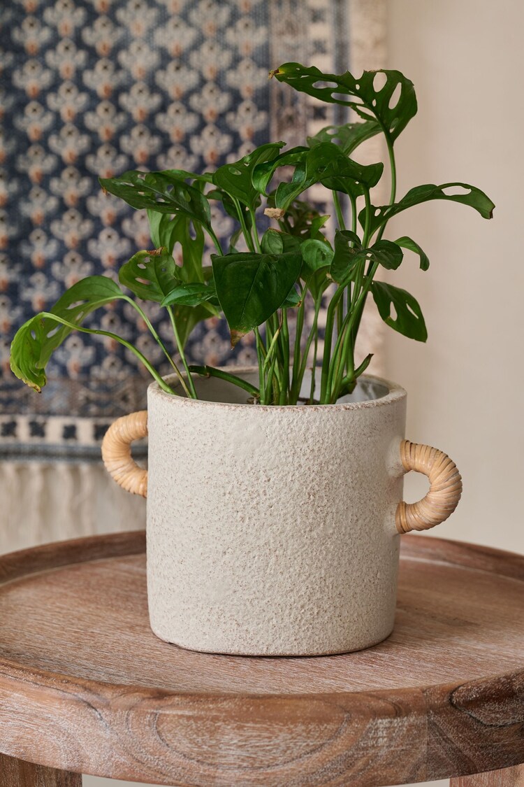 Buy French Connection Natural Small Terracotta Plant Pot from the Next ...