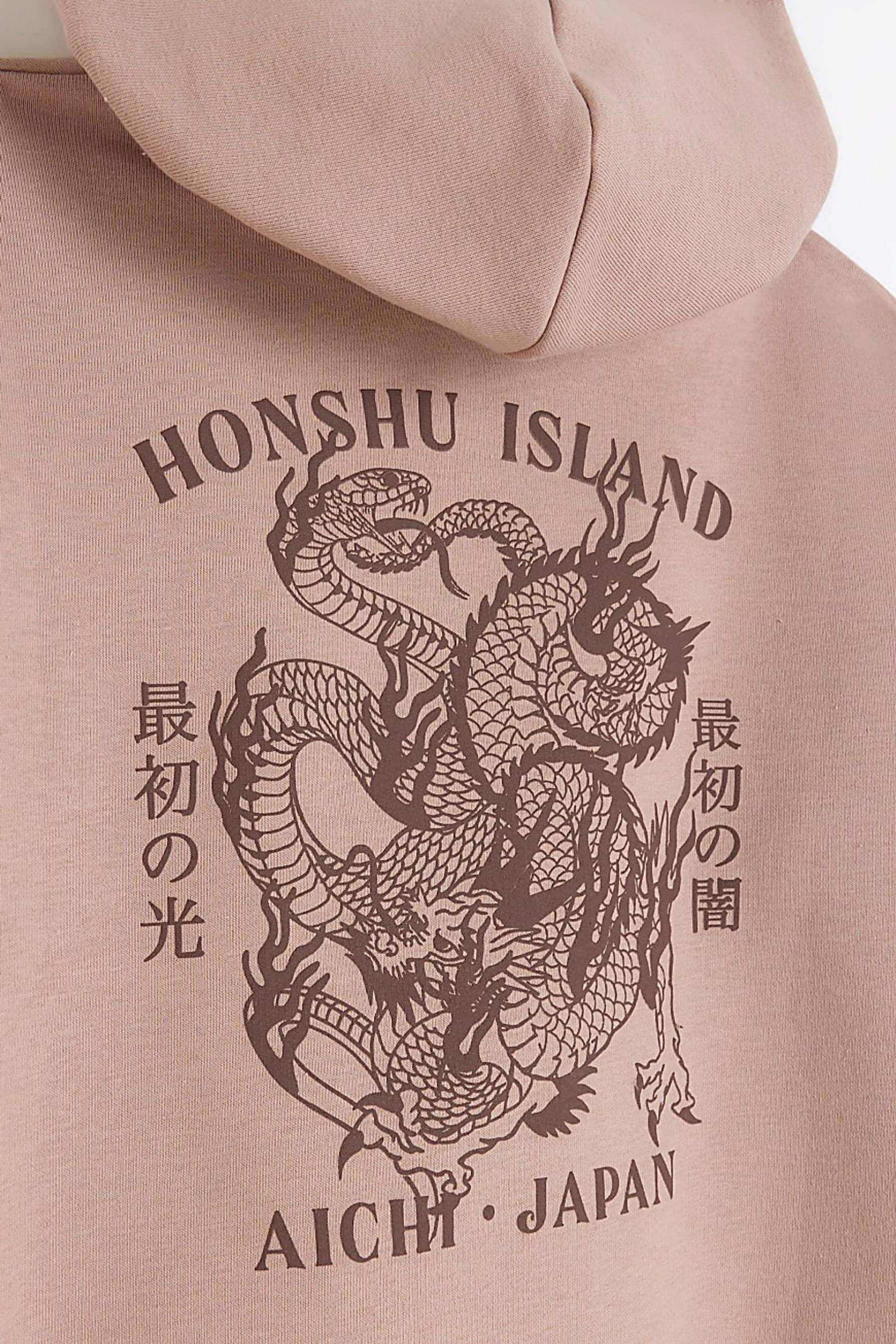 Buy River Island Pink Boys Japanese Dragon Hoodie from Next Luxembourg