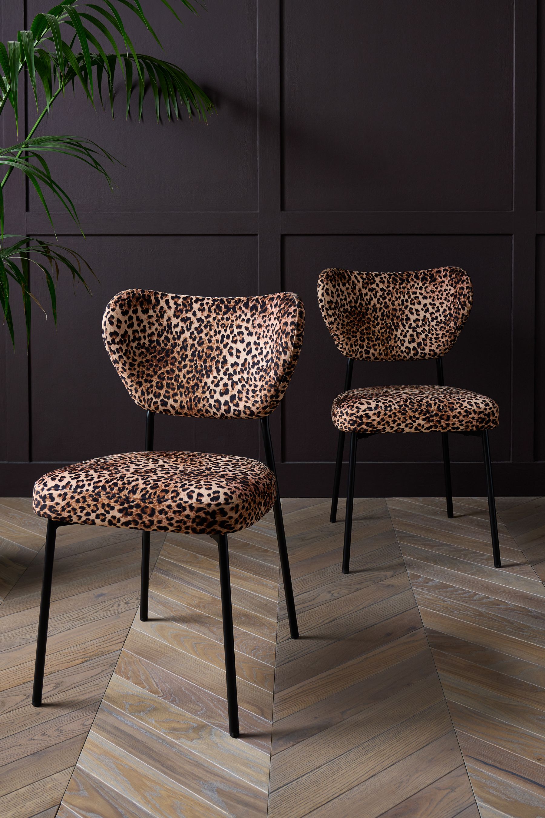 Buy Rockett St George Set of 2 Leopard Love Velvet Perfect Dining Chairs from the Next UK online shop
