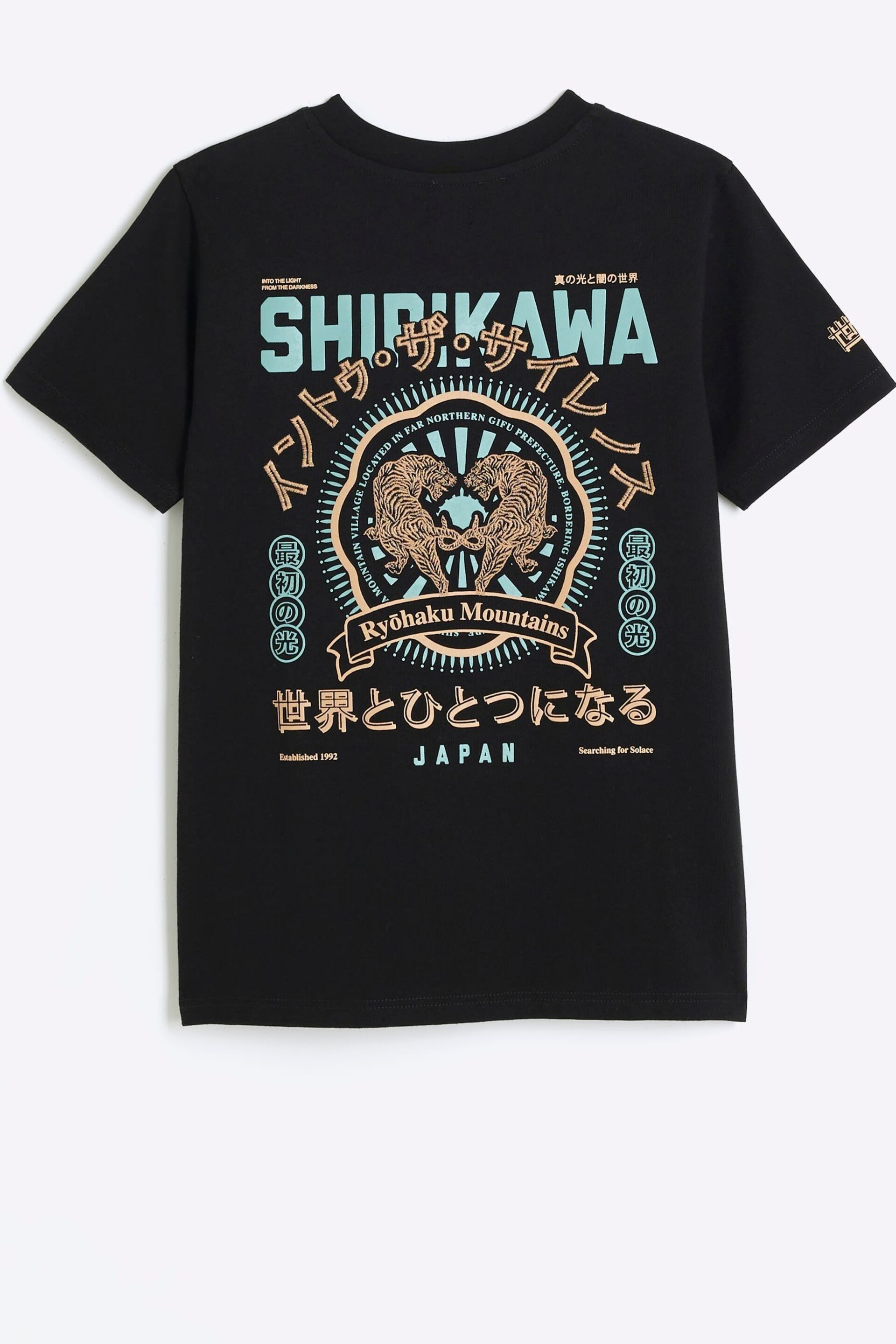 River Island Black Boys Shirikawa Back Print Graphic T-Shirt - Image 4 of 6