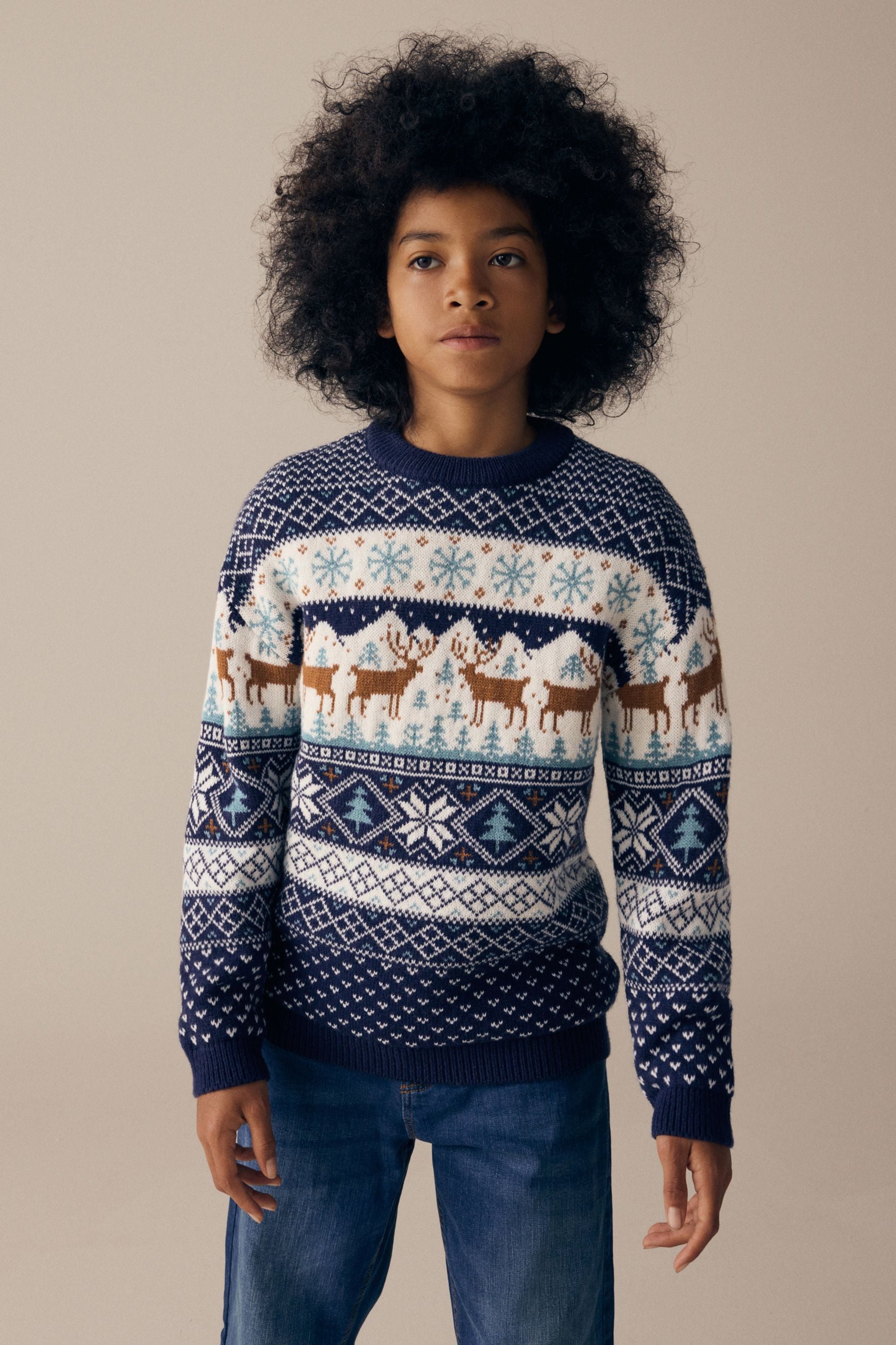 Next reindeer jumper top
