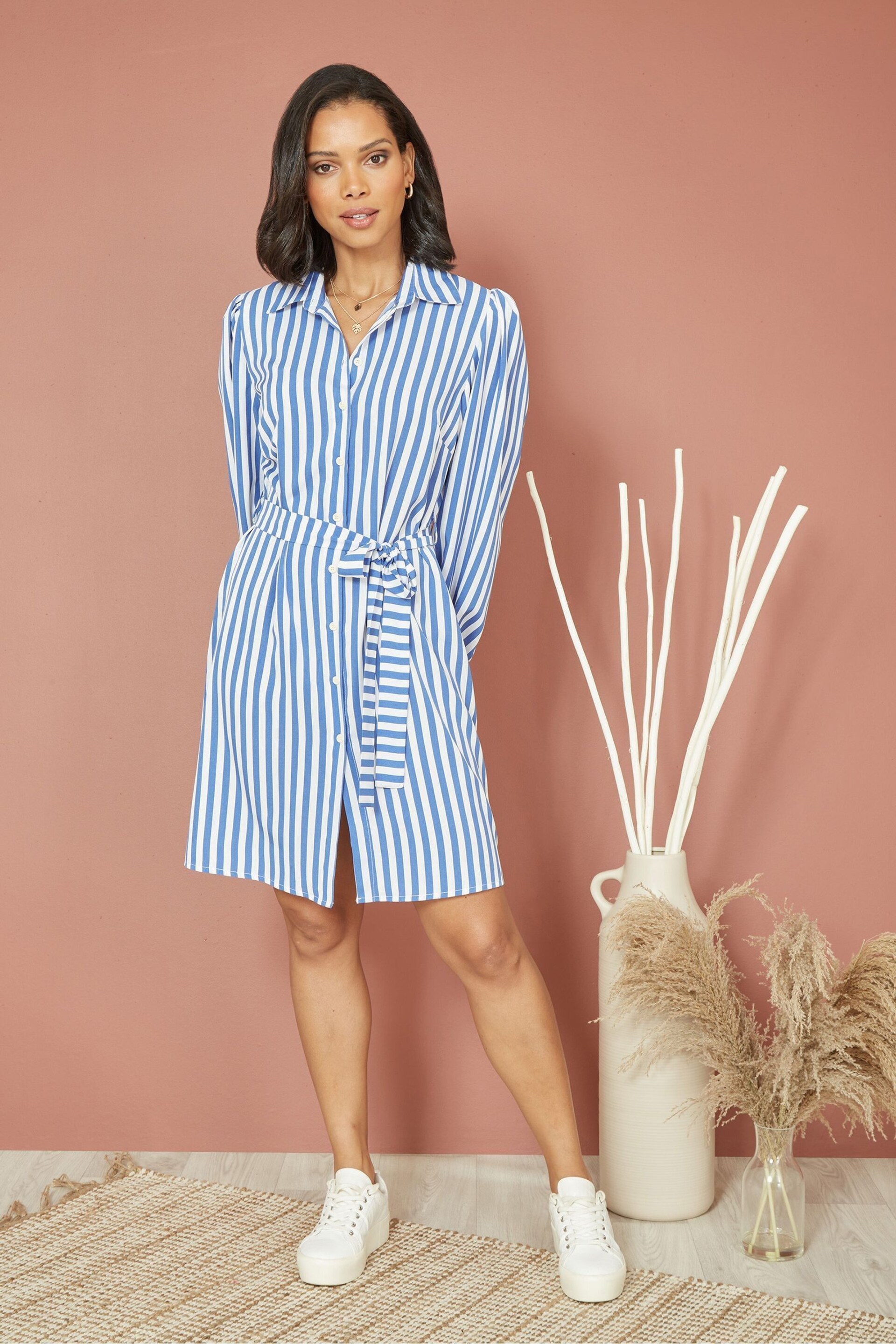 Mela Blue Striped Relaxed Fit Shirt Dress - Image 4 of 5