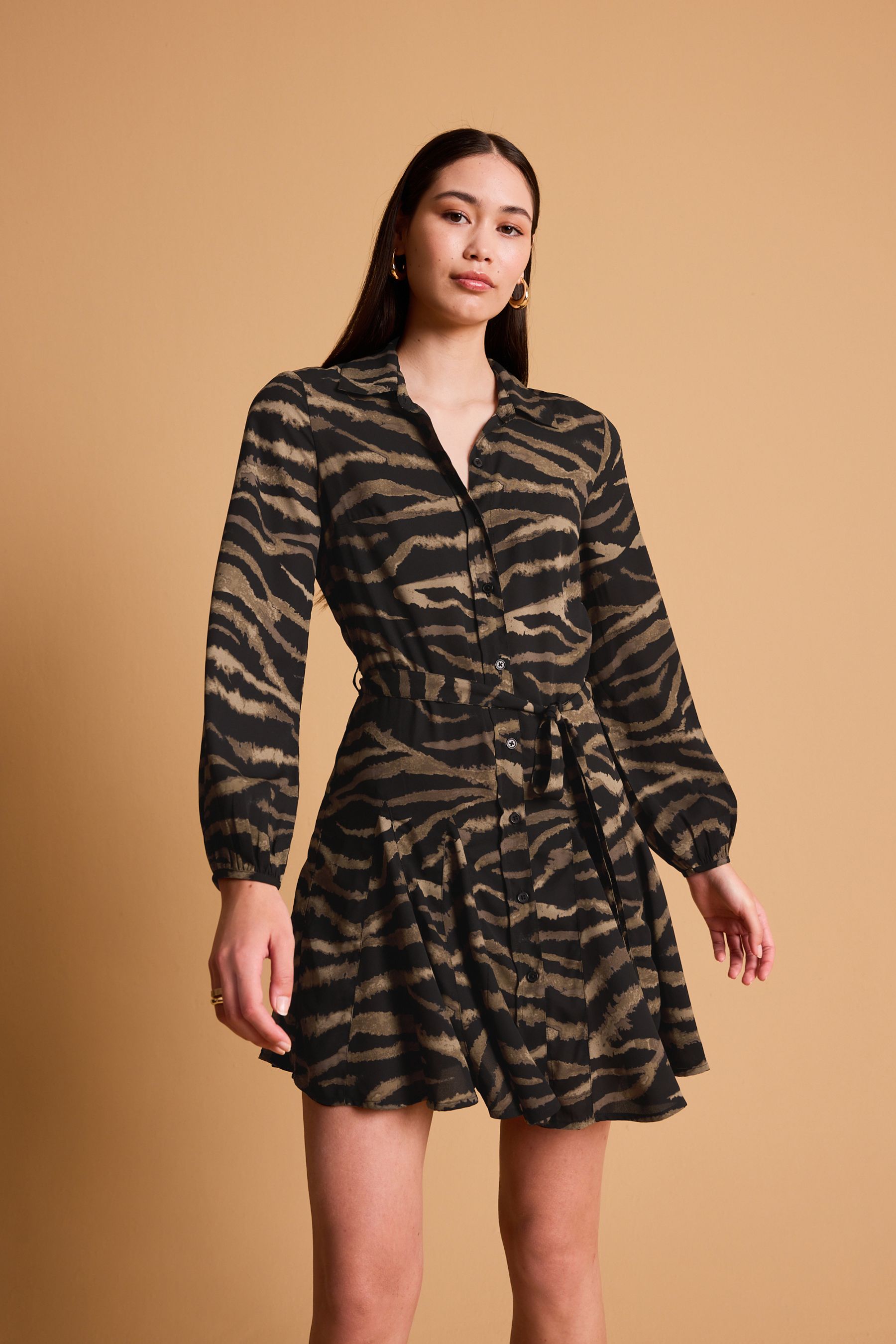 Next zebra dress shop
