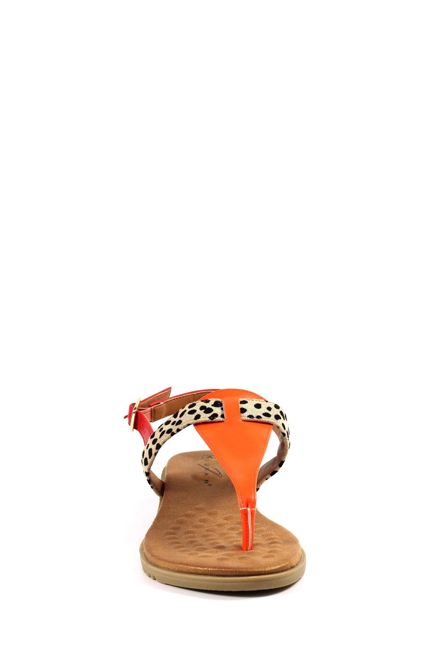 Buy Lunar Gina Toe Post Sandals from Next Luxembourg