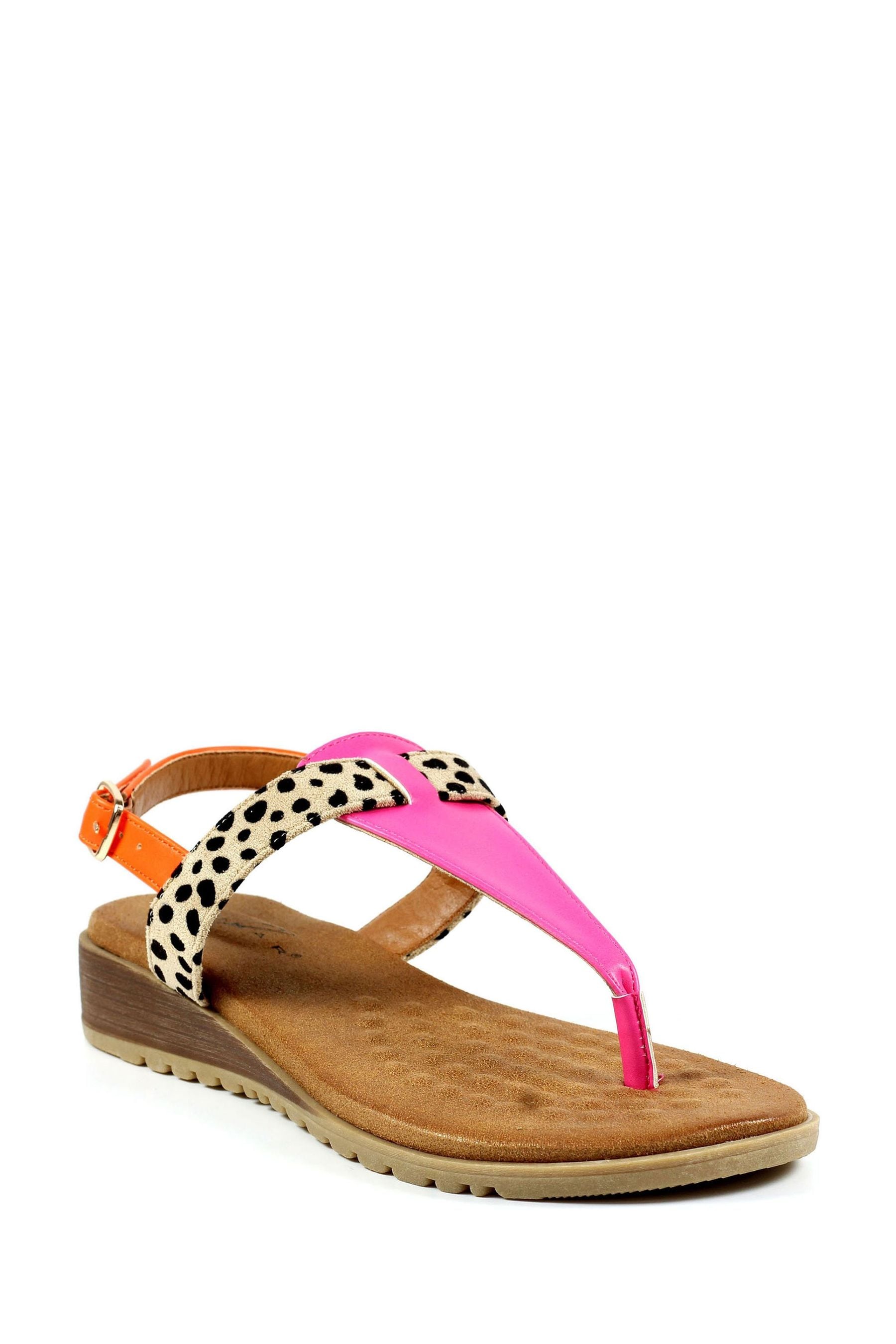 Buy Lunar Gina Toe Post Sandals from Next Luxembourg