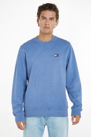 Tommy Jeans Blue Washed Badge Sweatshirt - Image 1 of 6