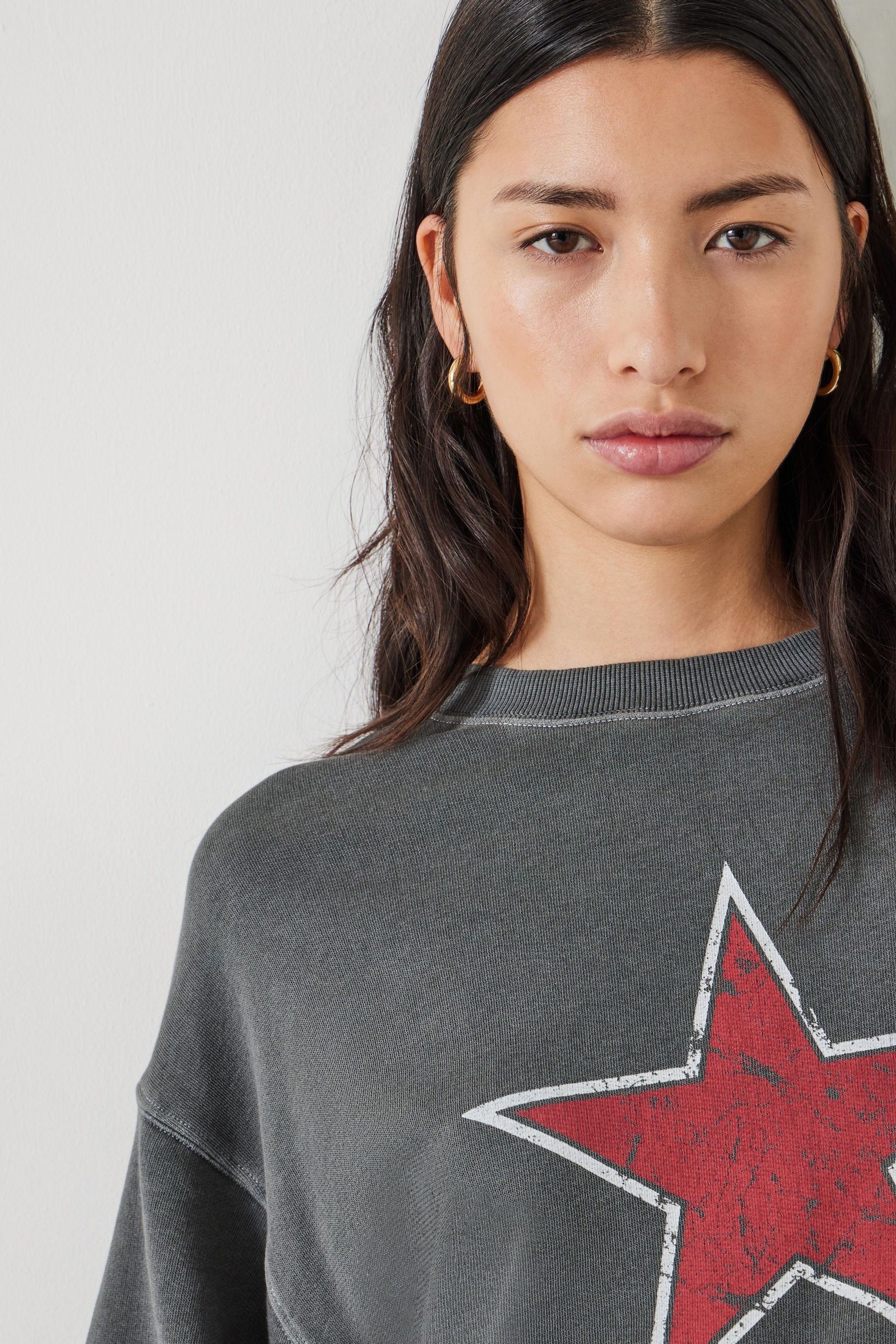Buy Hush Grey 100 Cotton Seona Star Sweatshirt from Next Canada